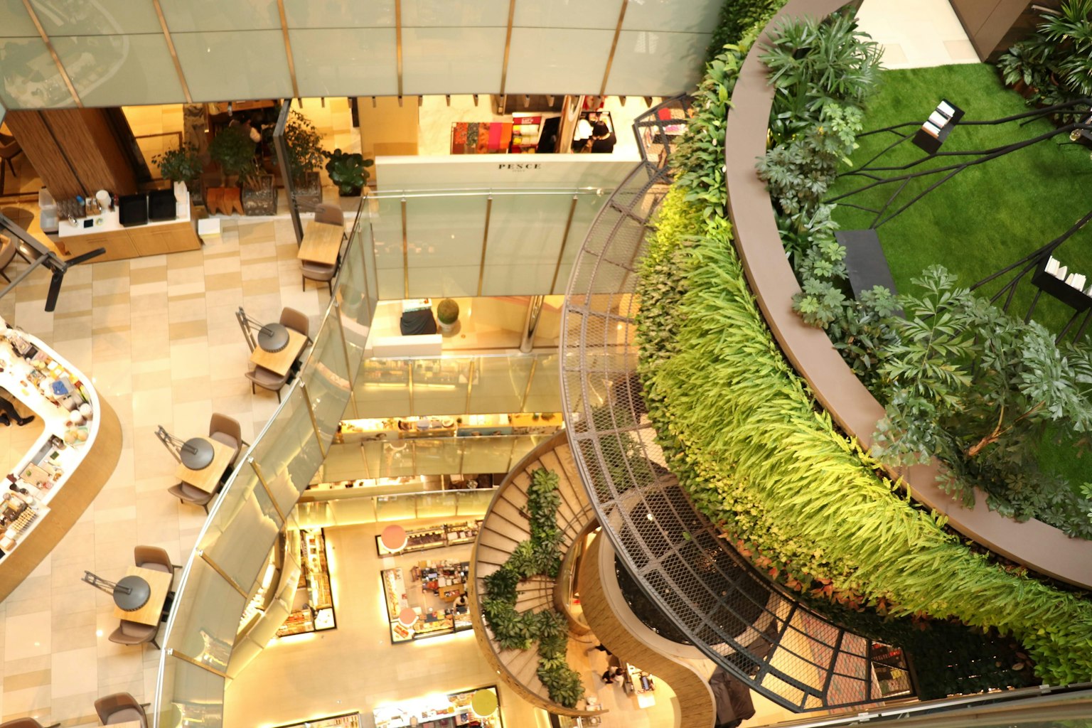 现代商业建筑内部的郁郁葱葱的绿色植物和螺旋楼梯