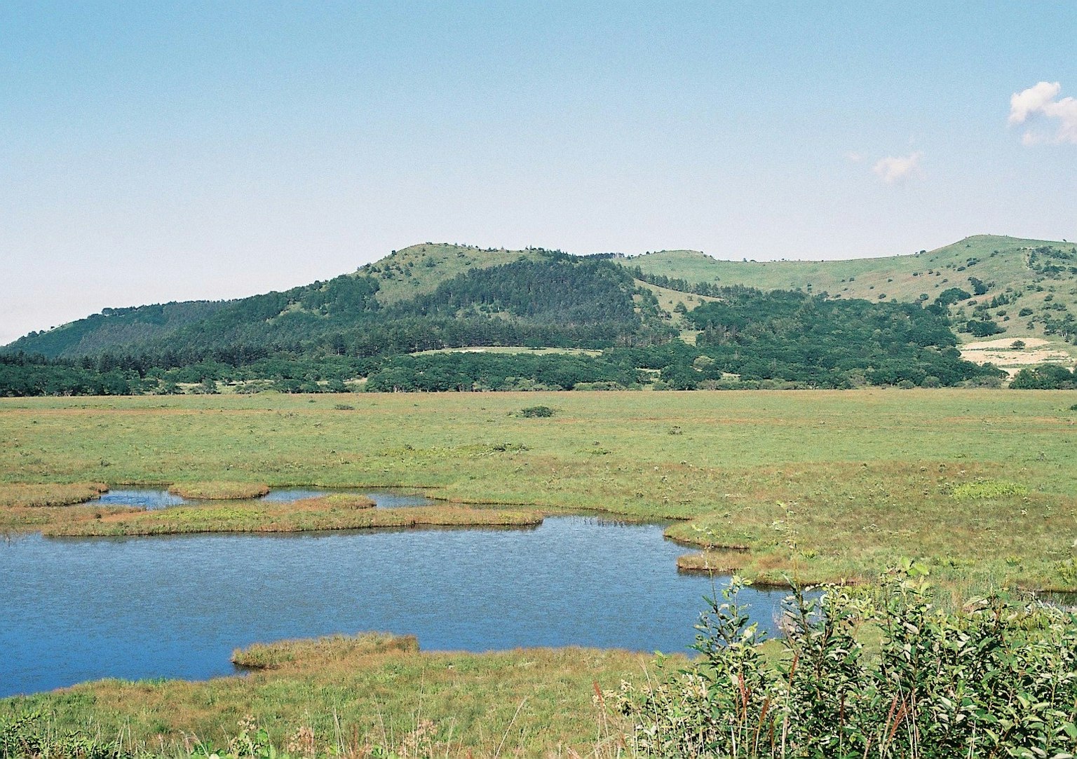 Prairie verdoyante avec un plan d'eau tranquille et des collines lointaines