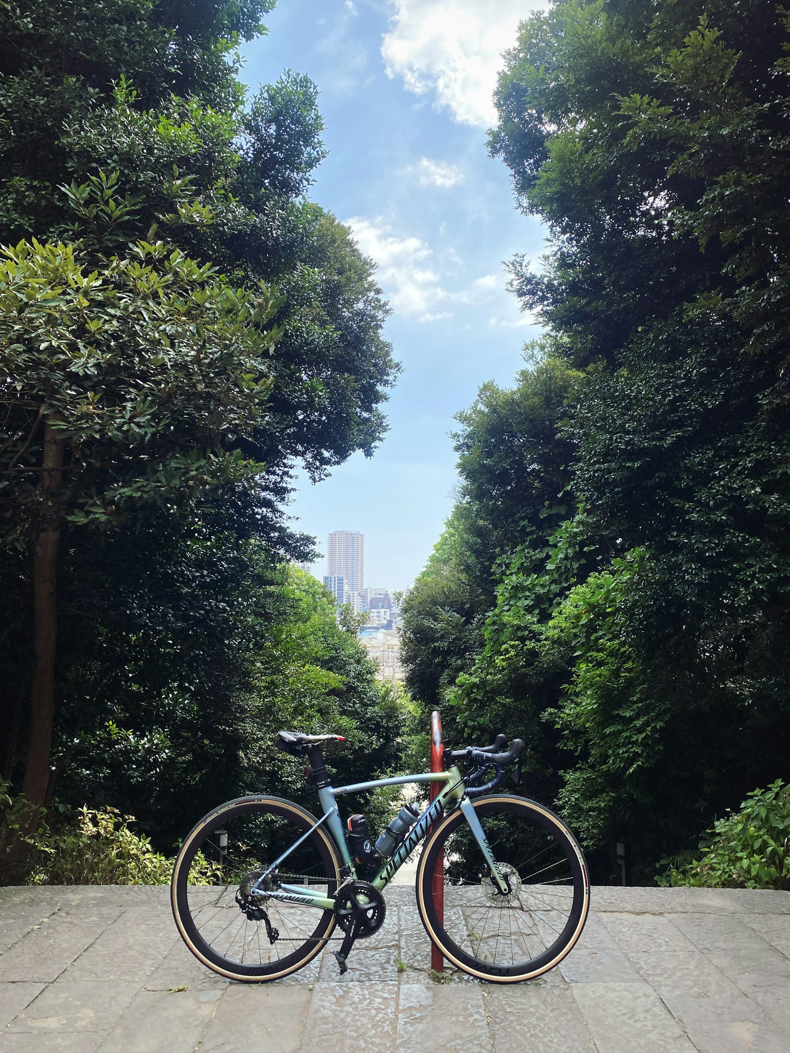 Bicicletta in un ambiente verde con skyline cittadino sullo sfondo