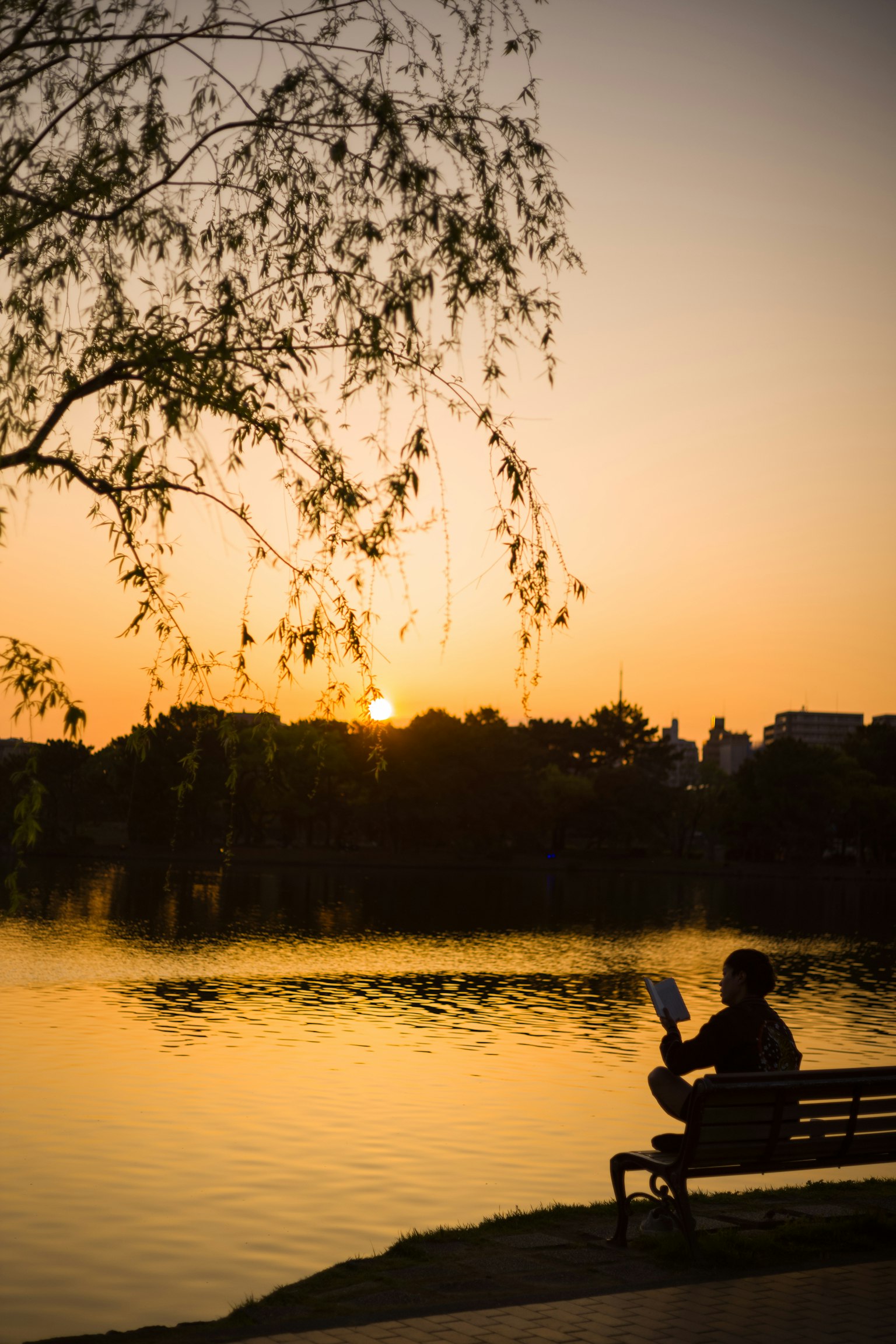 Người ngồi trên ghế bên hồ vào lúc hoàng hôn