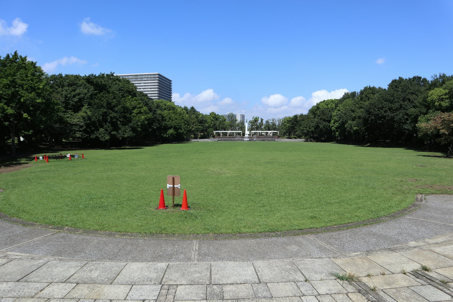 Ein geräumiger grüner Park, umgeben von Bäumen unter einem blauen Himmel