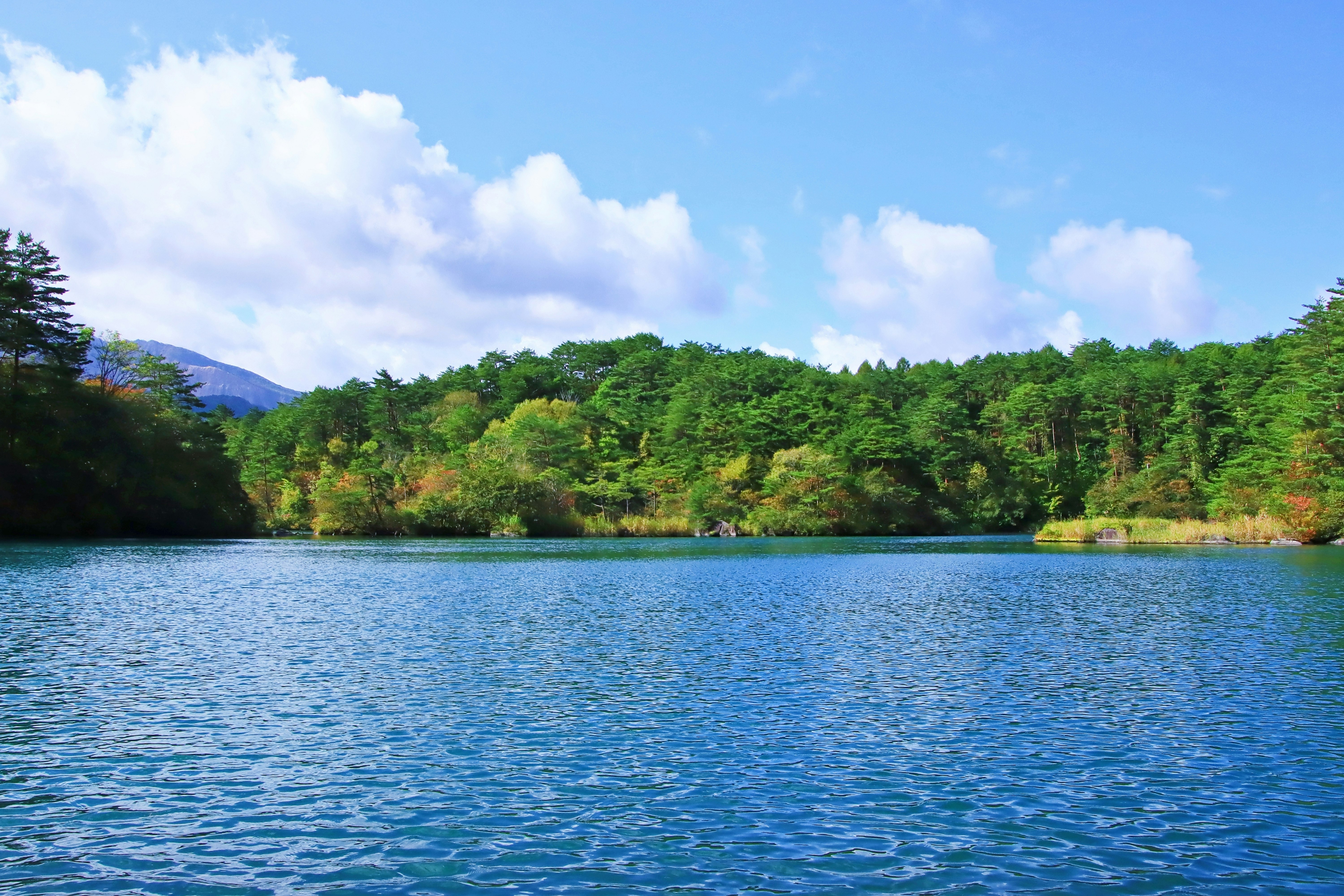 湖面に映る緑の森と遠くの山並み