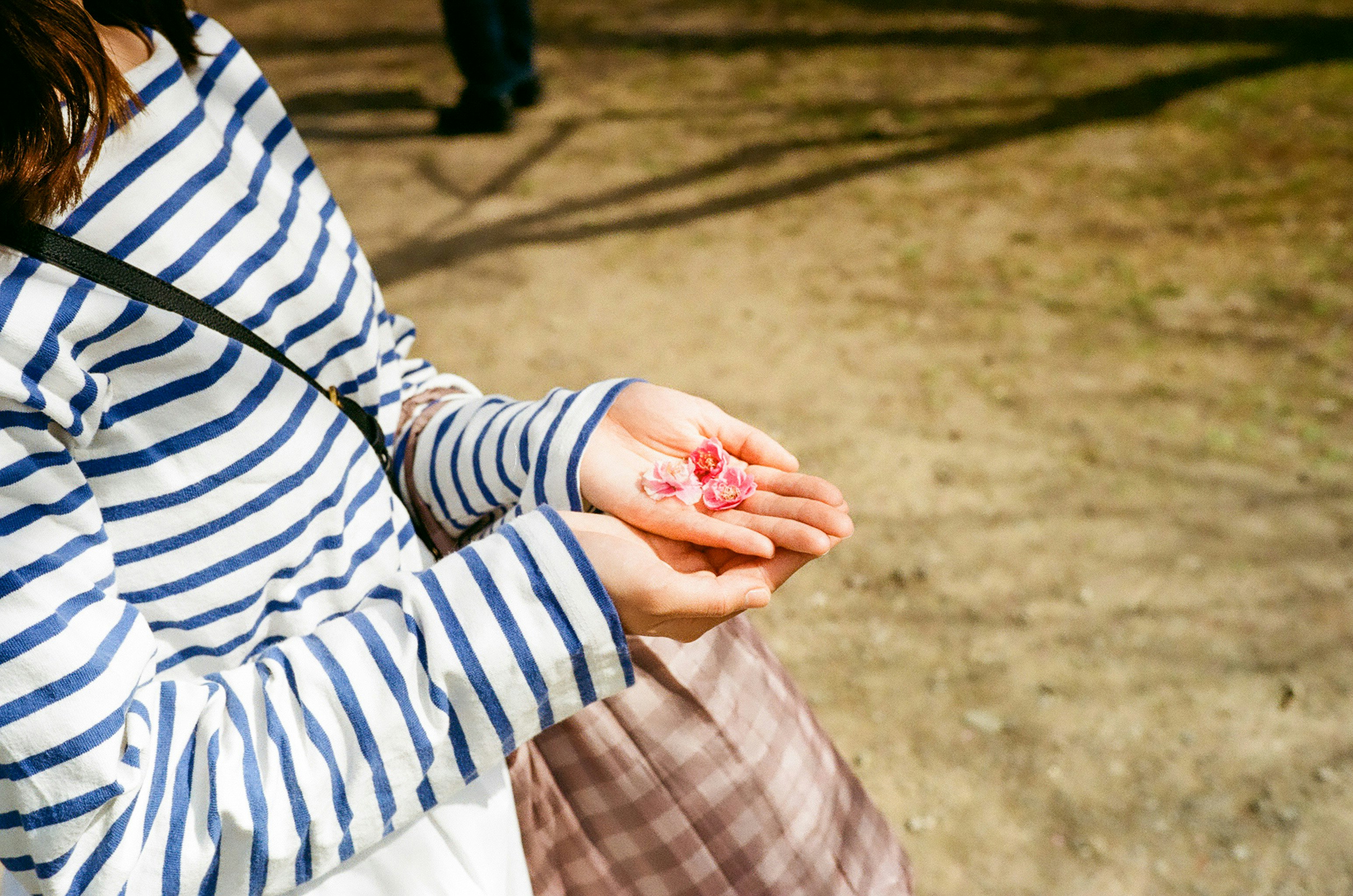 Parent and child holding hands in spring sunlight