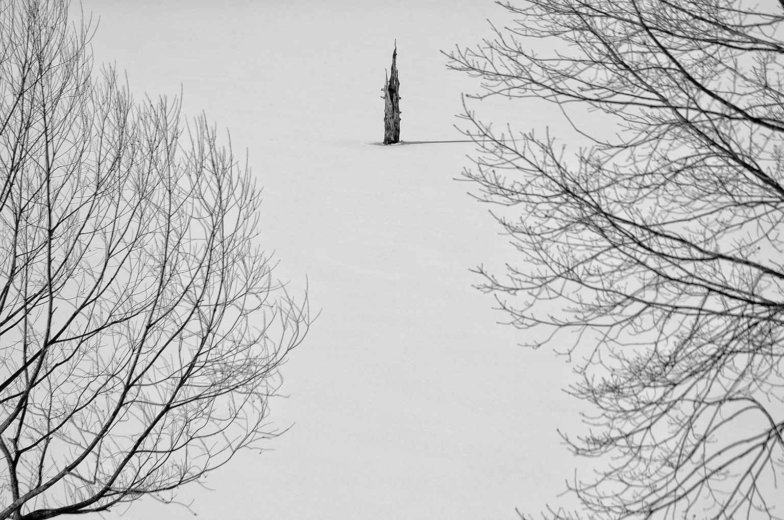 Torre de pie en un paisaje nevado con árboles alrededor