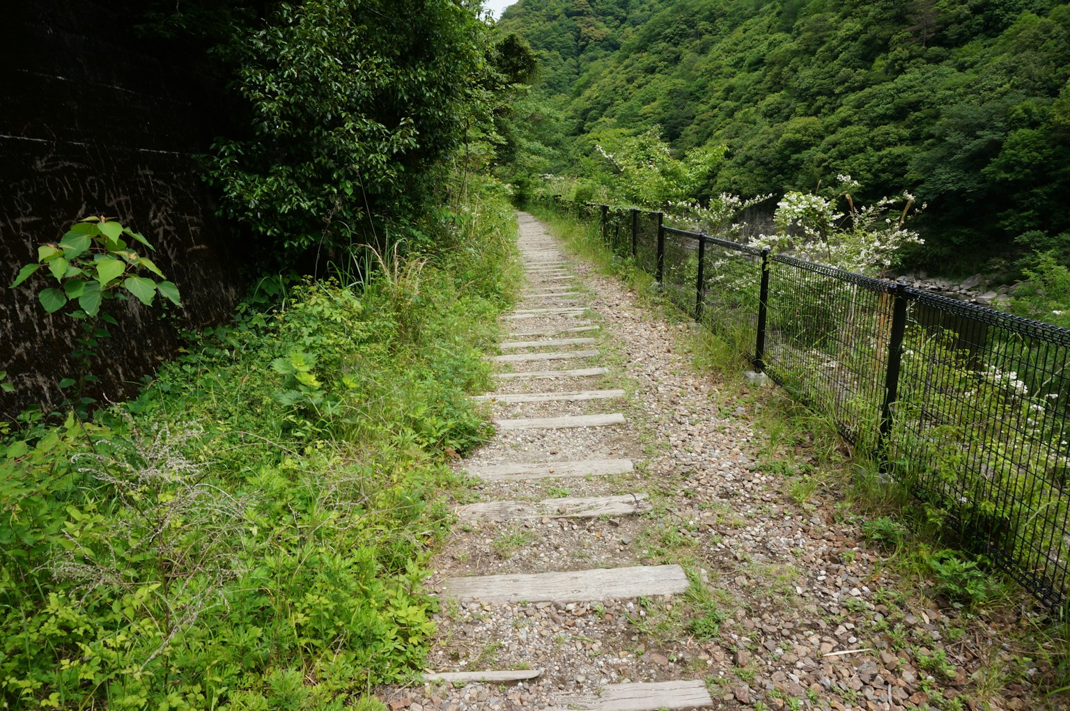 被绿色植物和围栏环绕的人行道