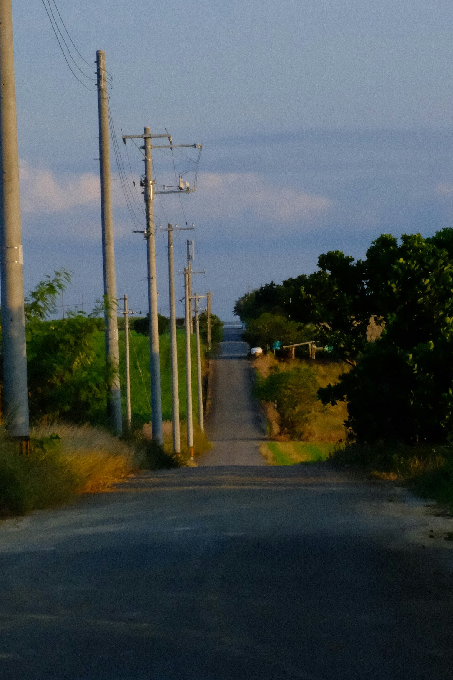 田舎道の電柱と続く舗装道路の風景