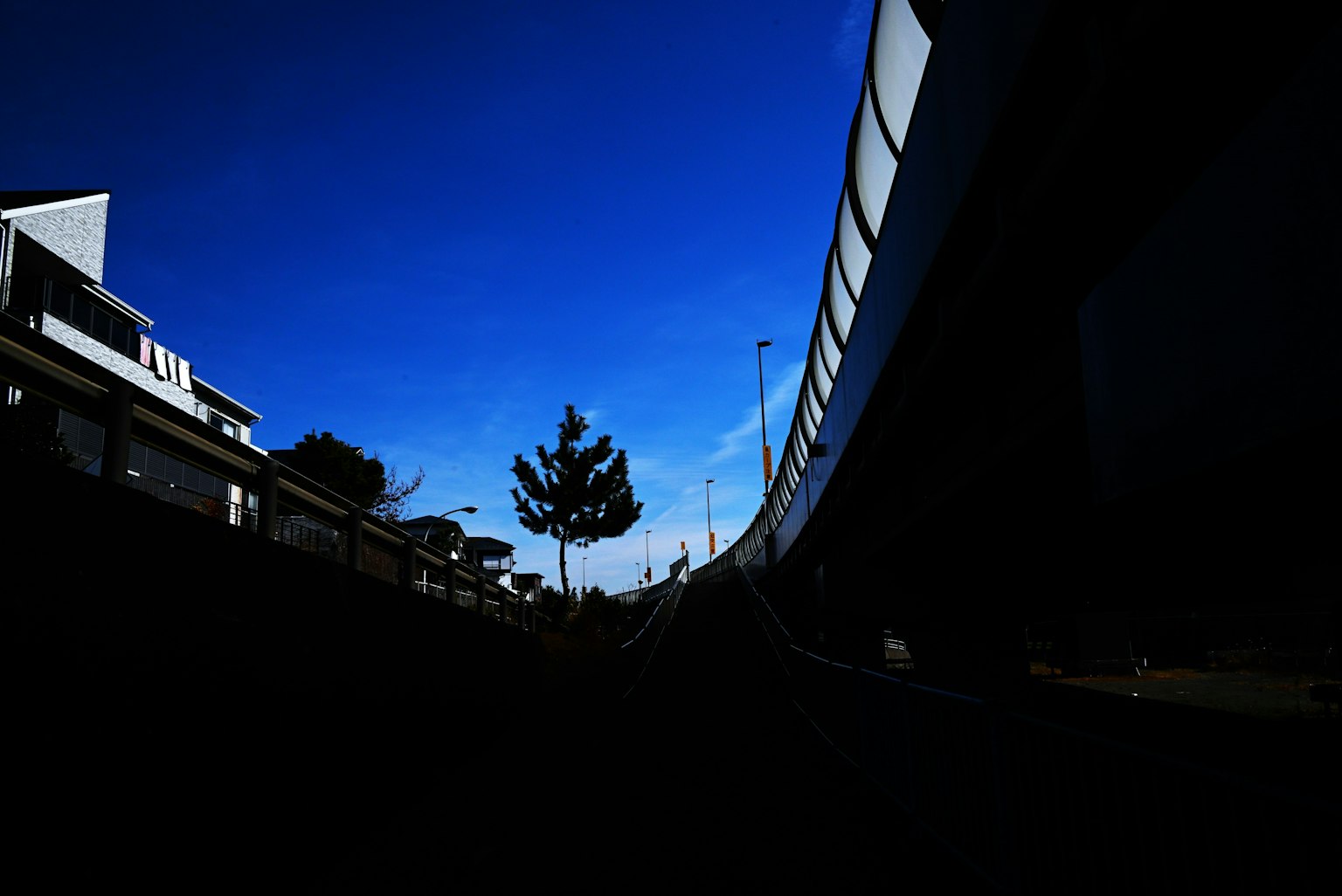 Silhouette di alberi e edifici sotto un cielo blu