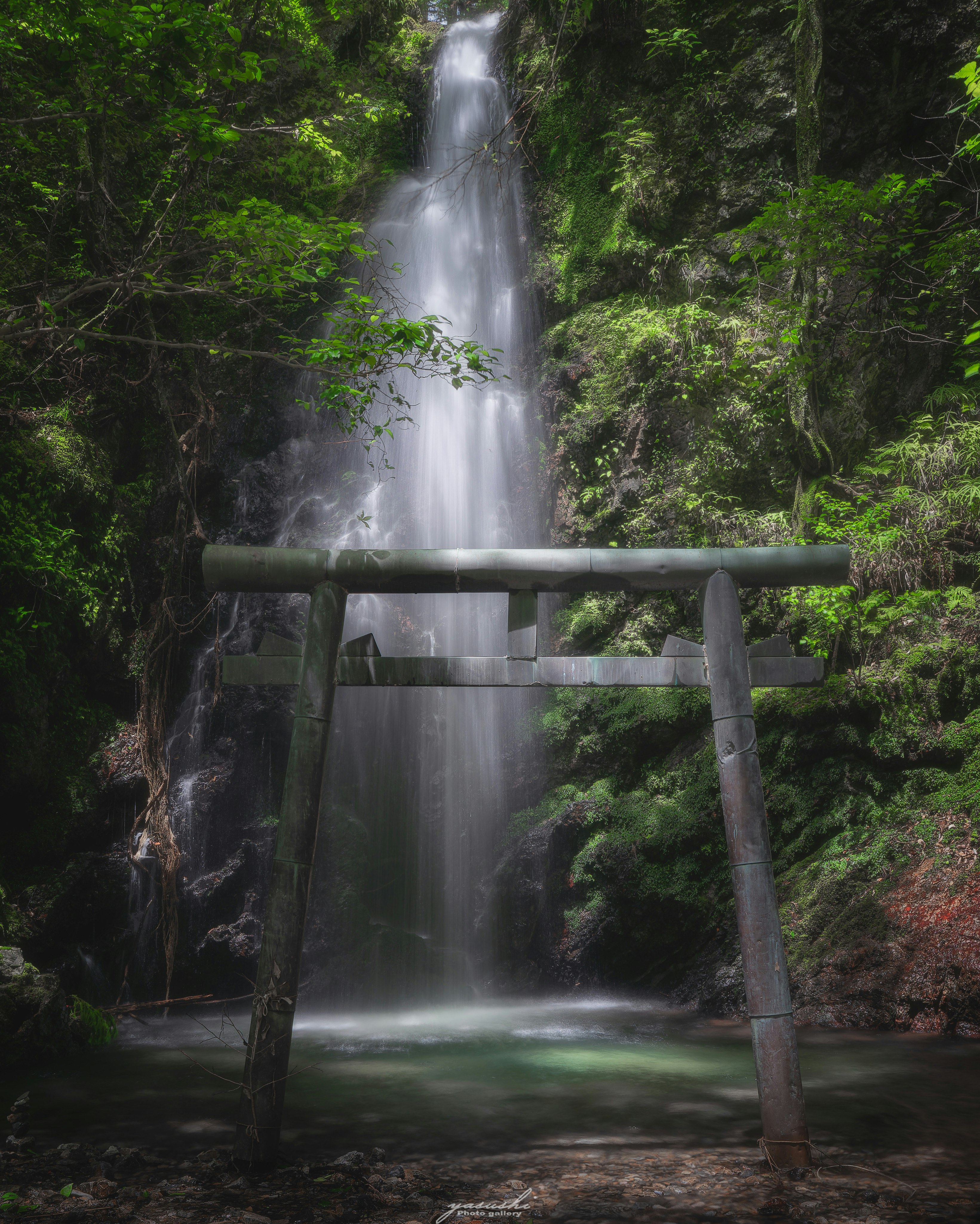 新緑の森の中で鳥居の前に滝が流れ落ちる神秘的な光景