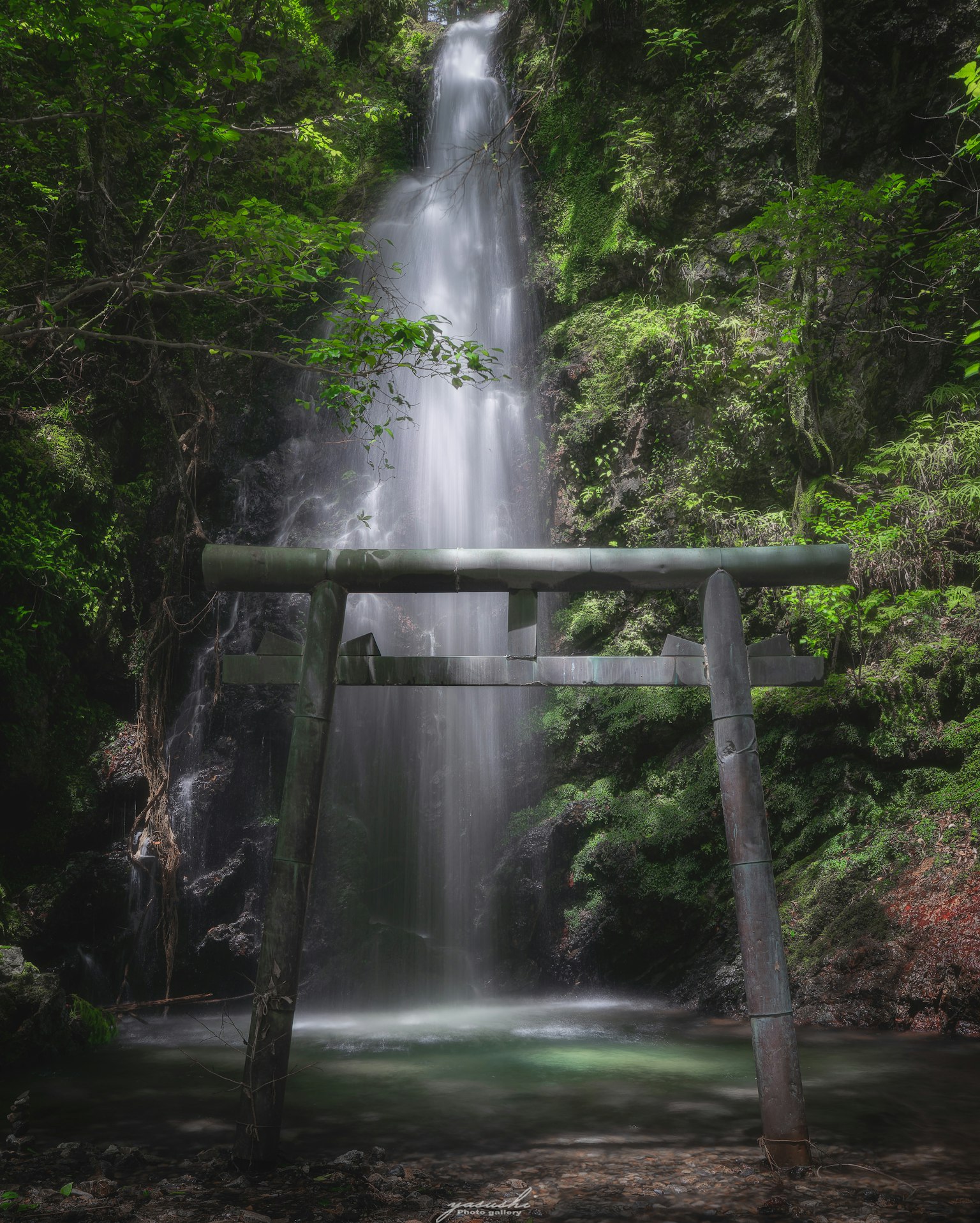 Una cascata serena incorniciata da una vegetazione lussureggiante e un tradizionale cancello torii