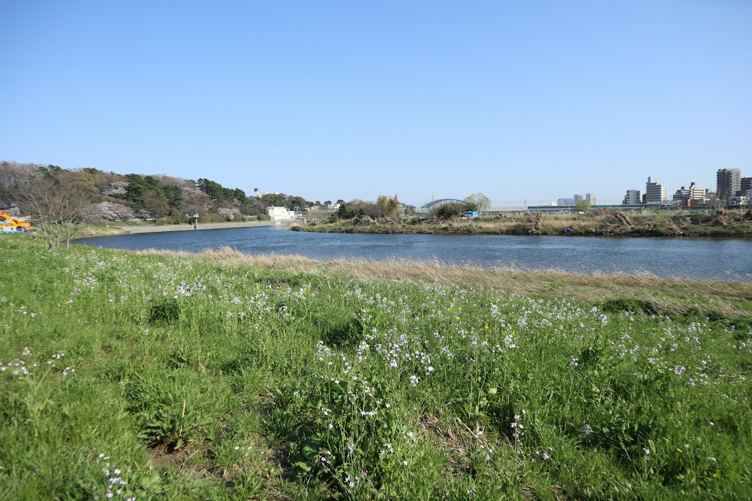 Green grassy landscape with a river under a blue sky