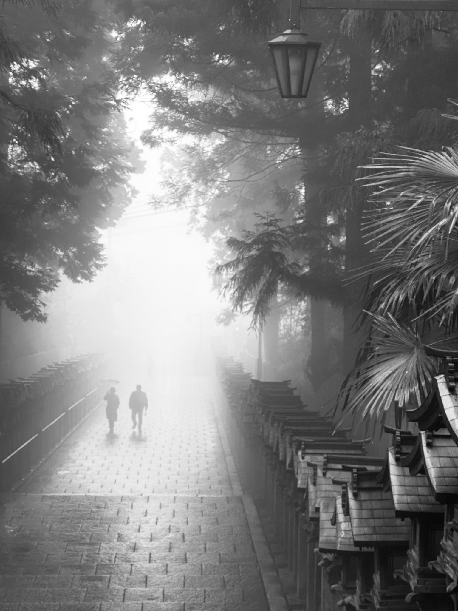 Silhouetten von zwei Personen, die im Nebel gehen, mit umgebenden Bäumen