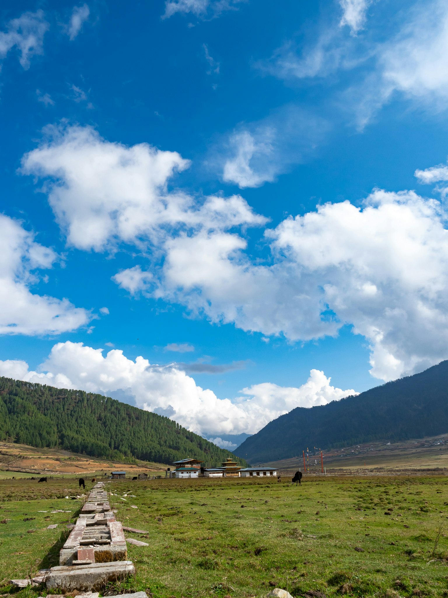 Weite Wiesen und Berge unter einem blauen Himmel mit weißen Wolken