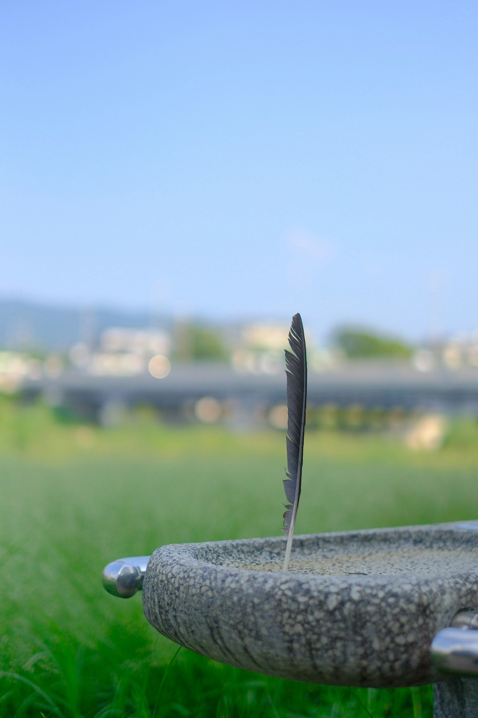 草原のベンチに立つ羽根のペン先