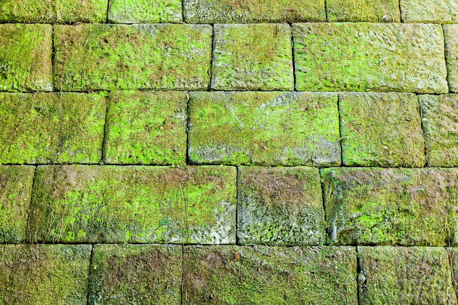 photo-K4FDsl9UAPB4gBGptPOr-image