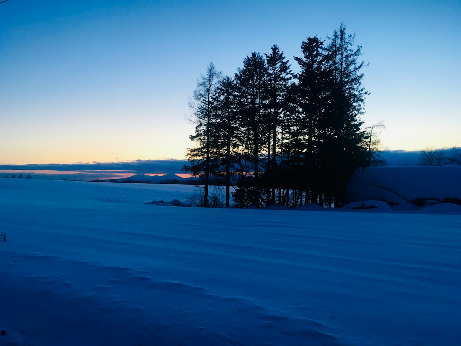 Silhouetten von Bäumen vor einem Himmel, der von Blau zu Orange während des Sonnenuntergangs über einer verschneiten Landschaft übergeht