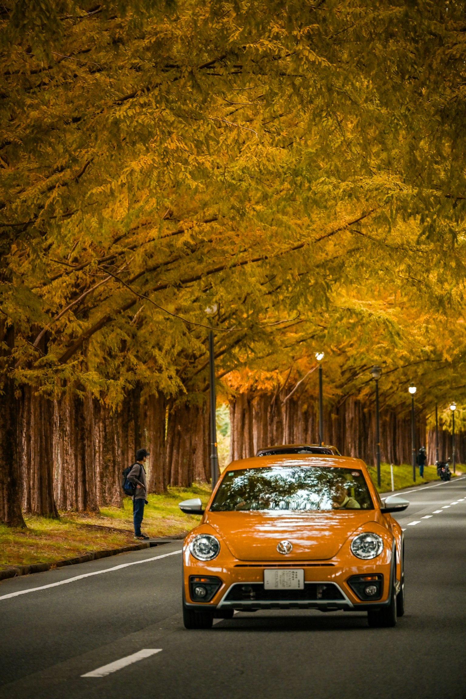 Un coche naranja conduciendo por una carretera flanqueada de árboles dorados
