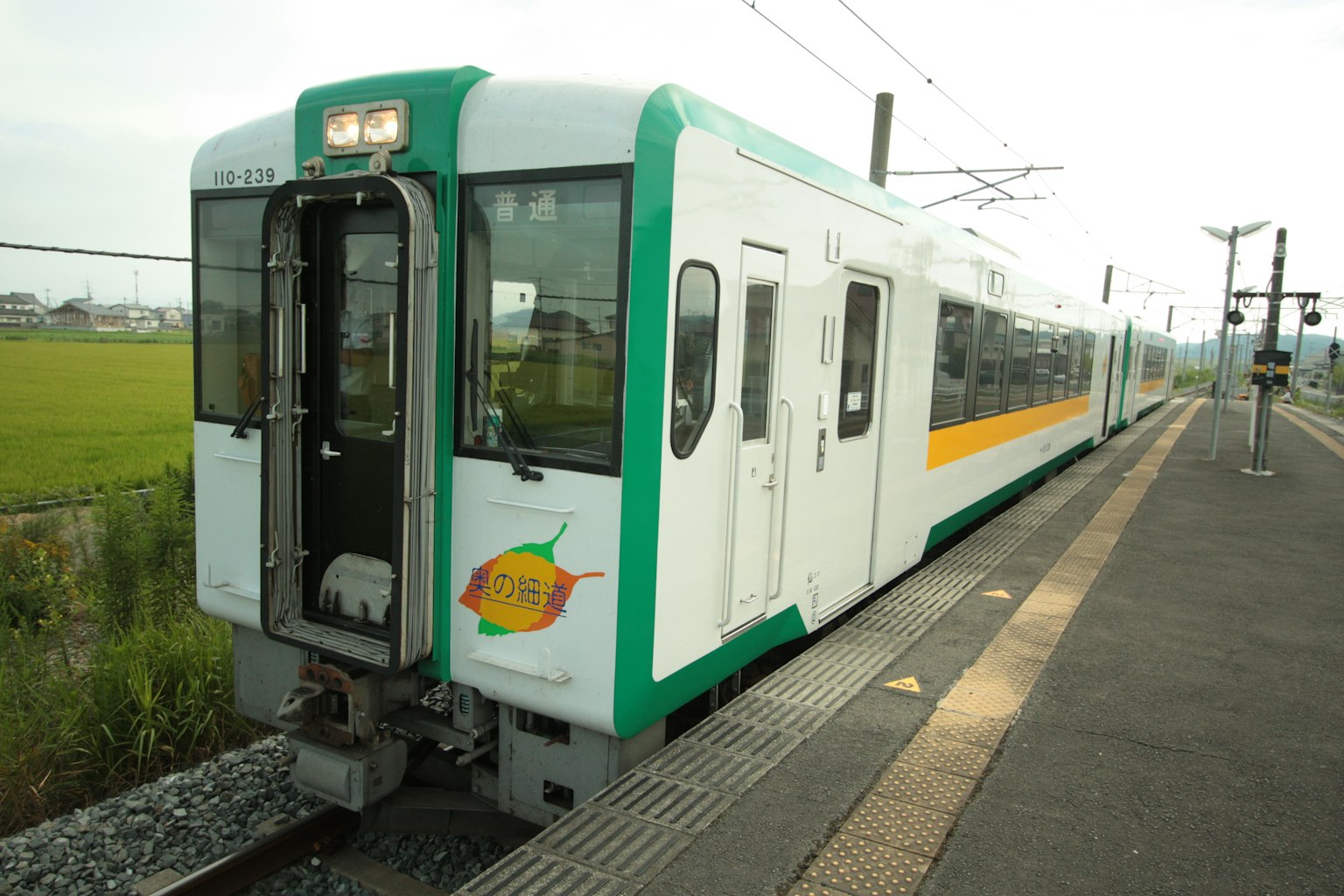 Green and white train at a rural station with rice fields