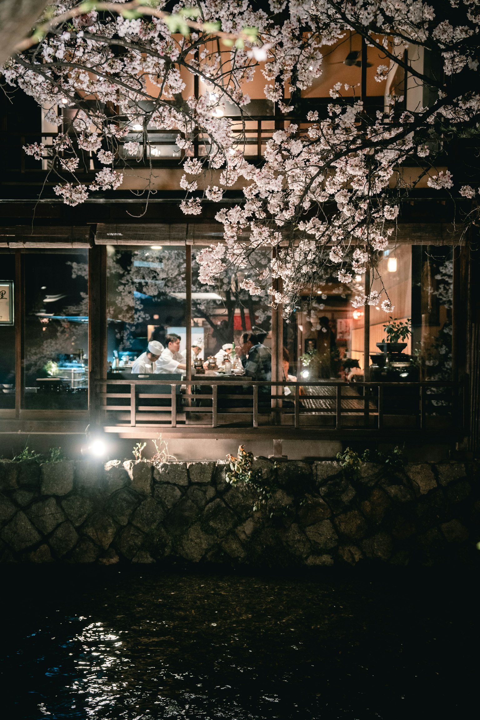 夜間日本餐廳及櫻花的景觀