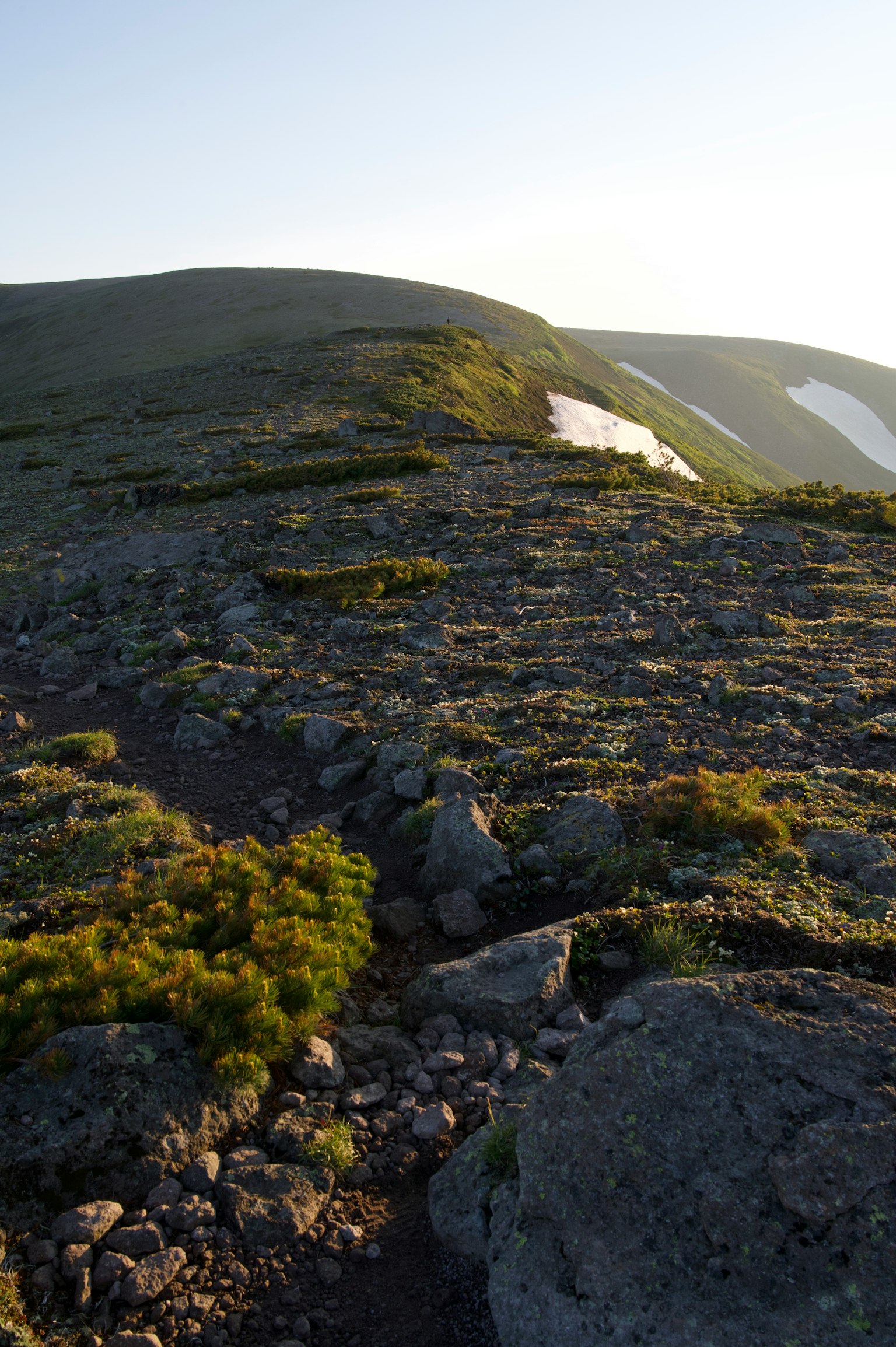 Paisaje rocoso con vegetación escasa en una pendiente montañosa