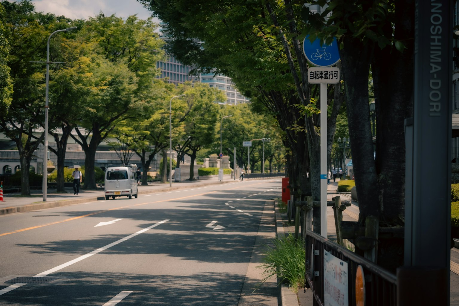 靜謐的街道，旁邊有綠樹和一輛車