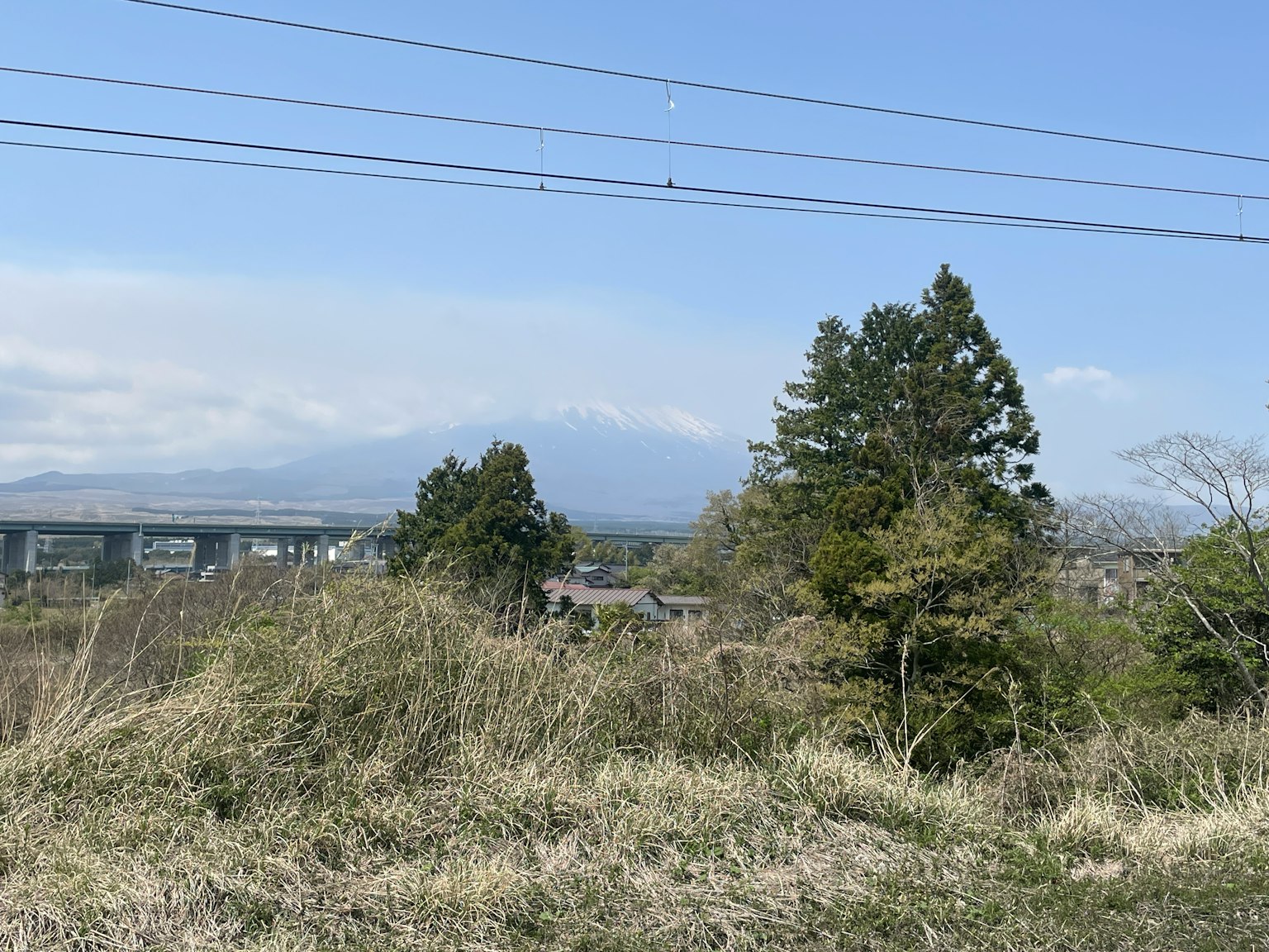 Landscape featuring grass and trees under a blue sky with distant mountains