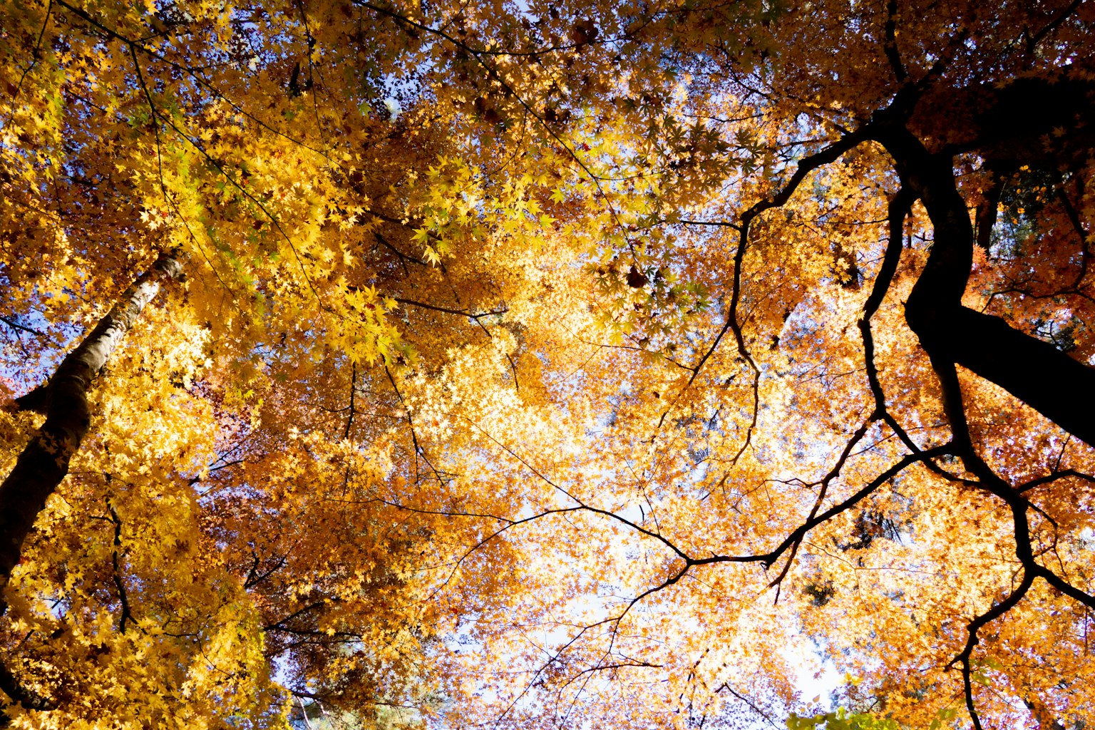 photo-K5Qx1wmFQXbkCvhdCAAj-image