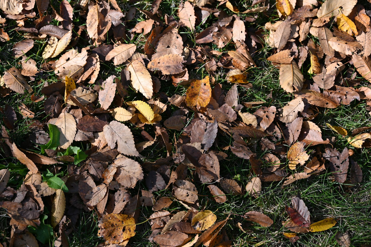 photo-K5r618bvDQgI1jsVwRDP-image