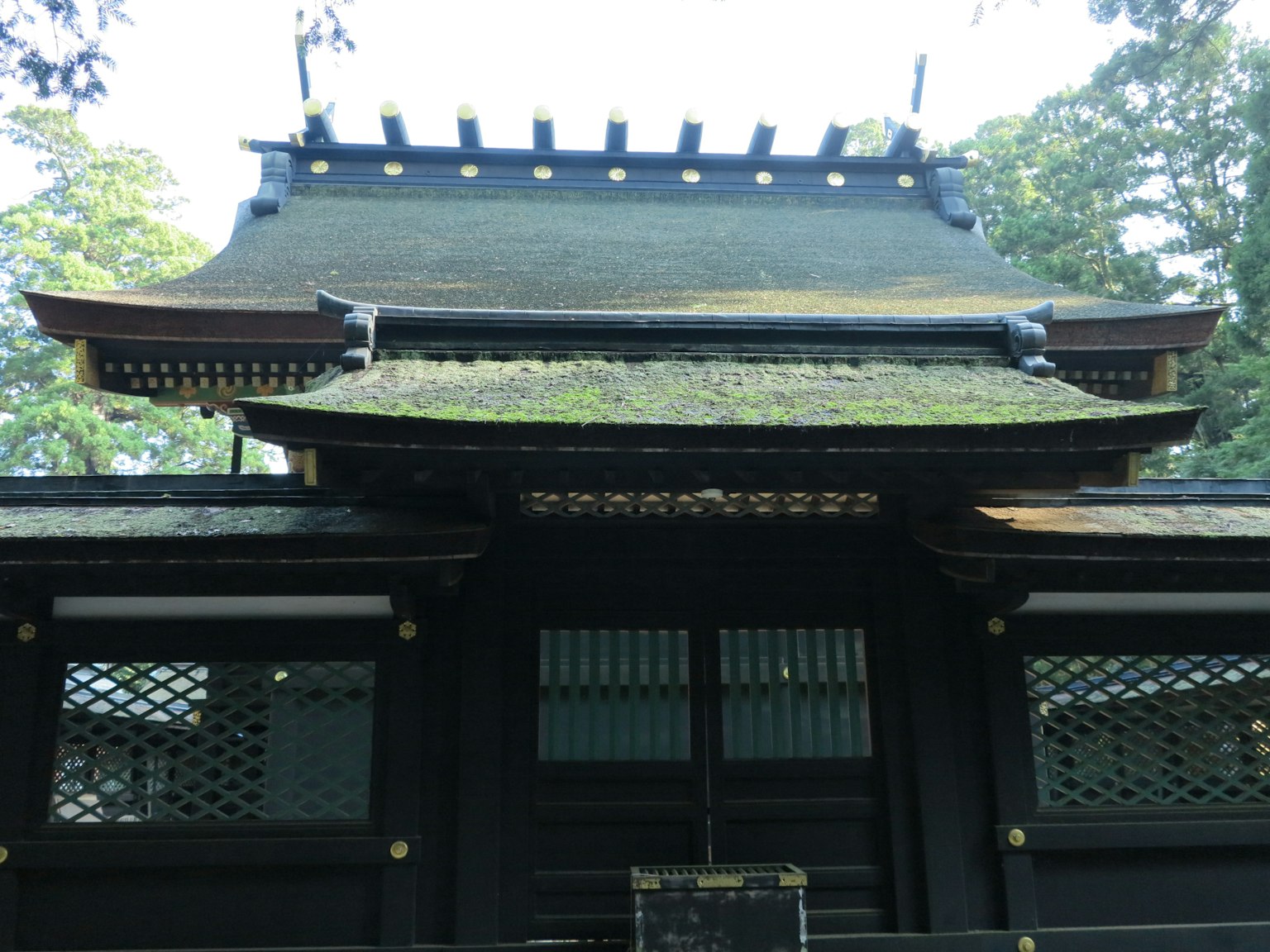 Traditionelles japanisches Schreindach mit grünem Moos und Holzarchitektur