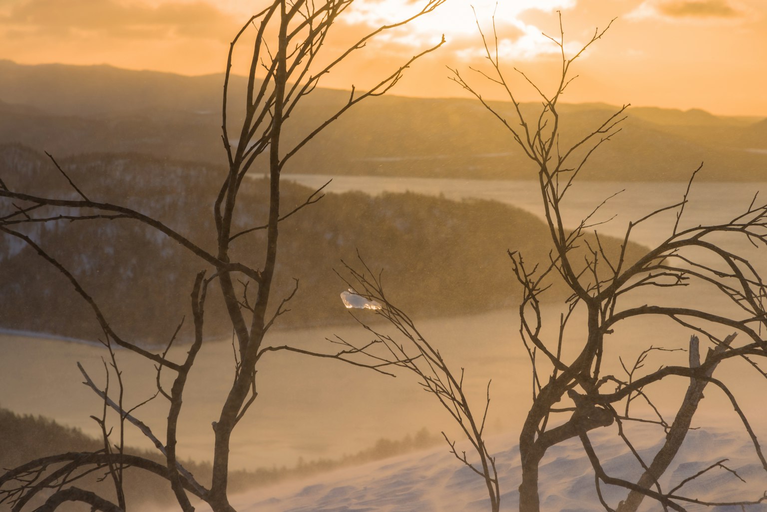 Malersicher Ausblick mit kahlen Ästen und einem Sonnenuntergang über dem See