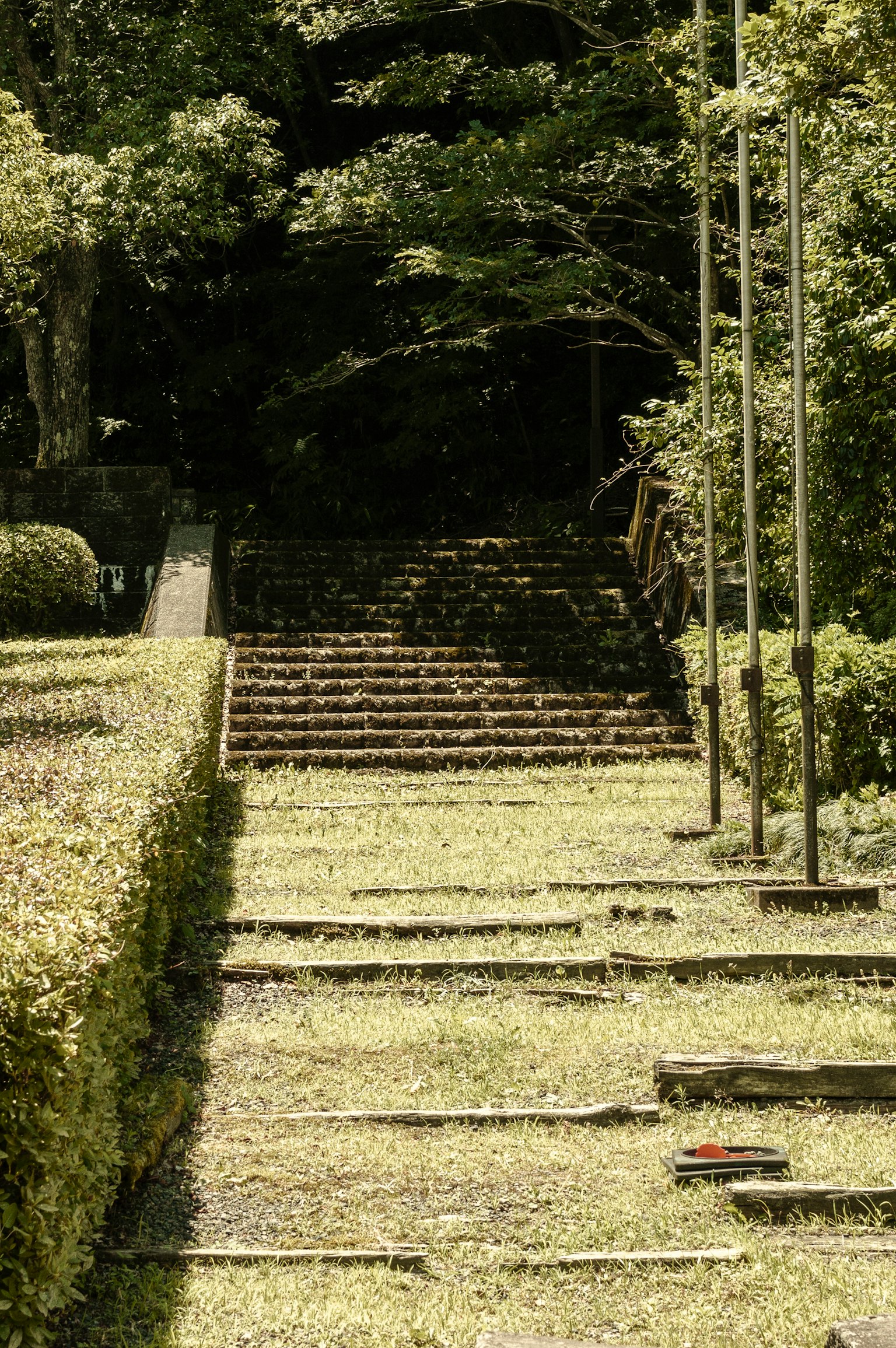 Una escena de jardín serena con escaleras de piedra que conducen a un área verde rodeada de vegetación