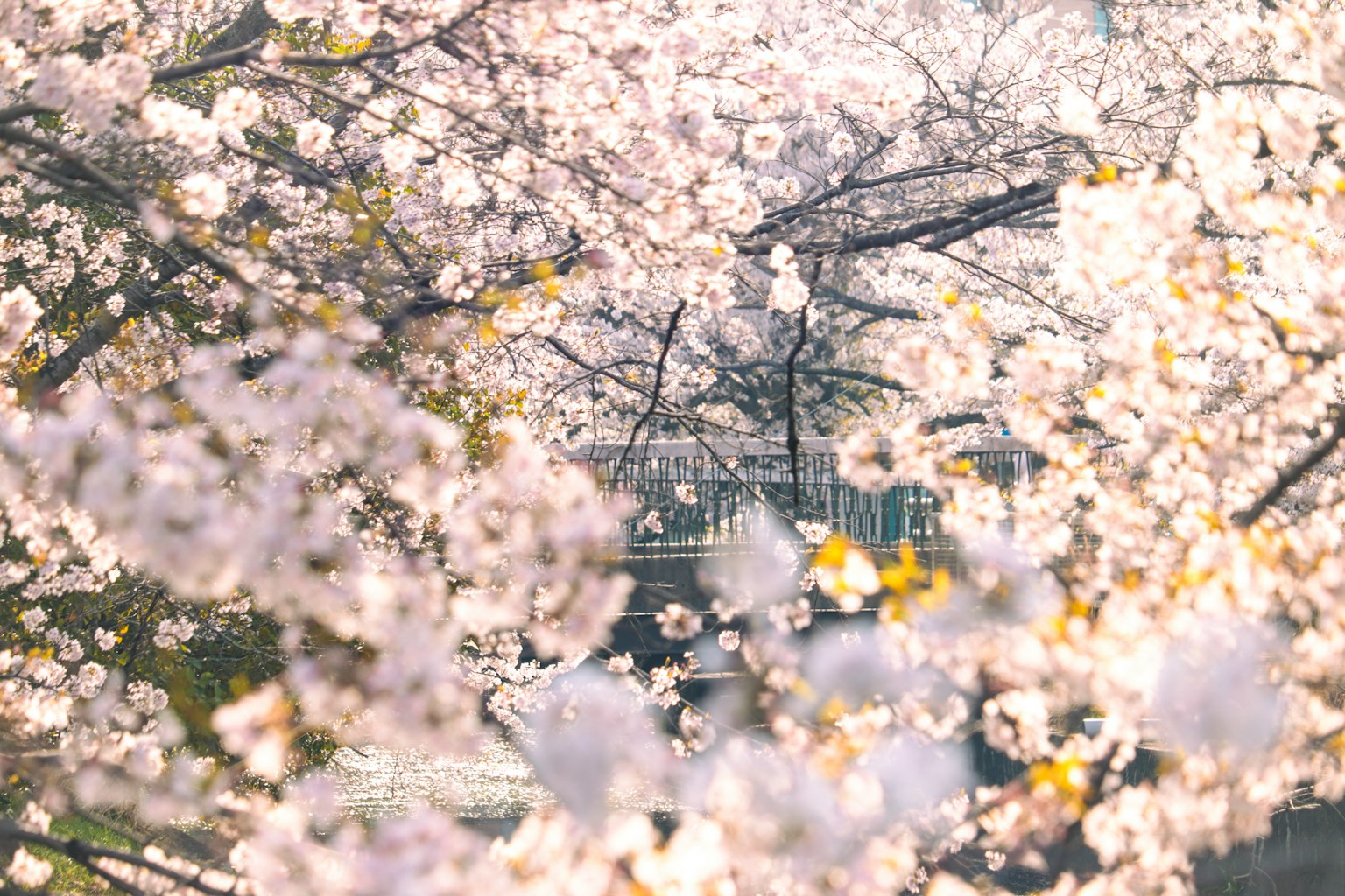 photo-K6LG5YNa3tzppQhWyz70-image