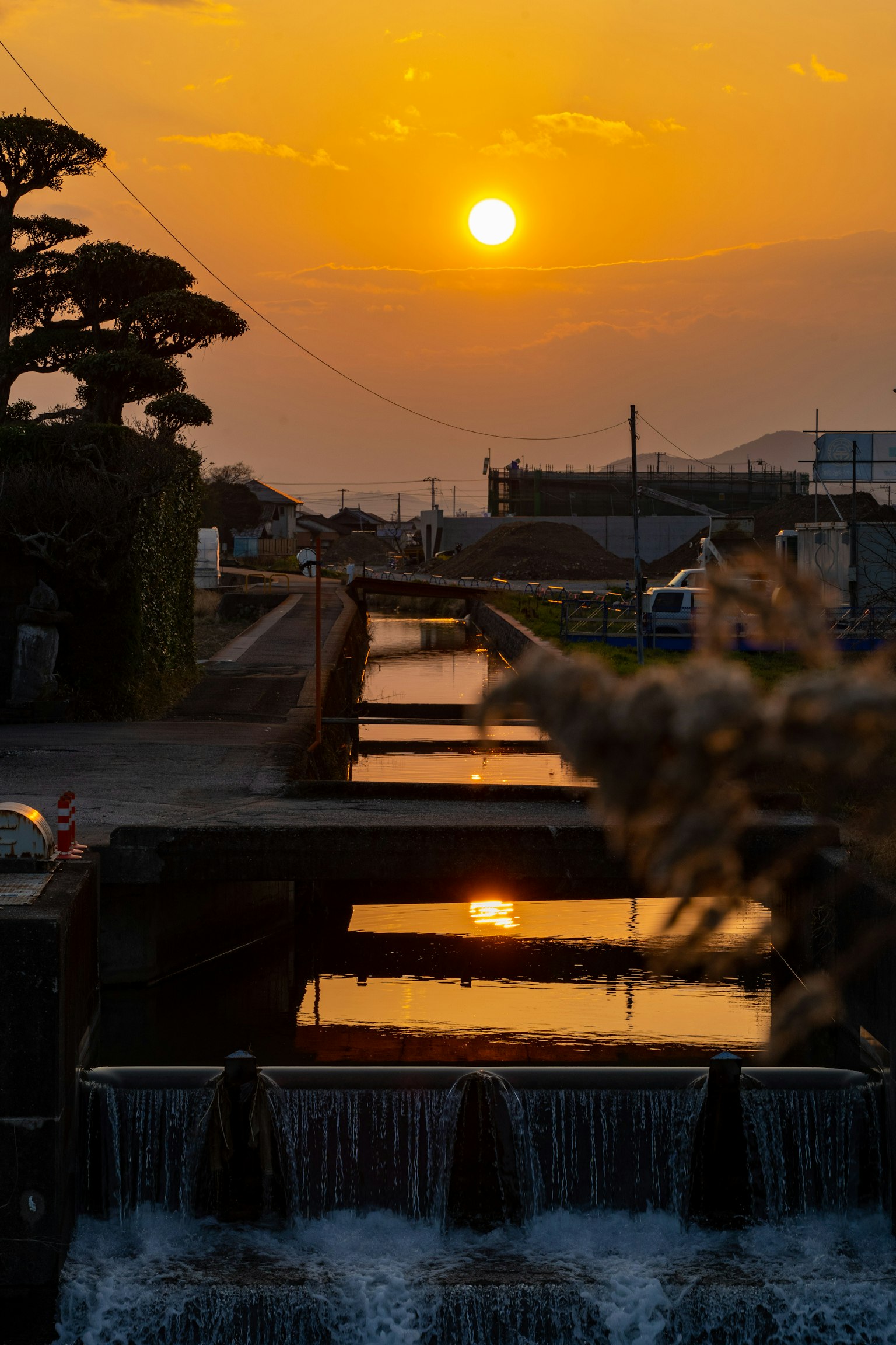 Tramonto su un canale con riflessi e alberi