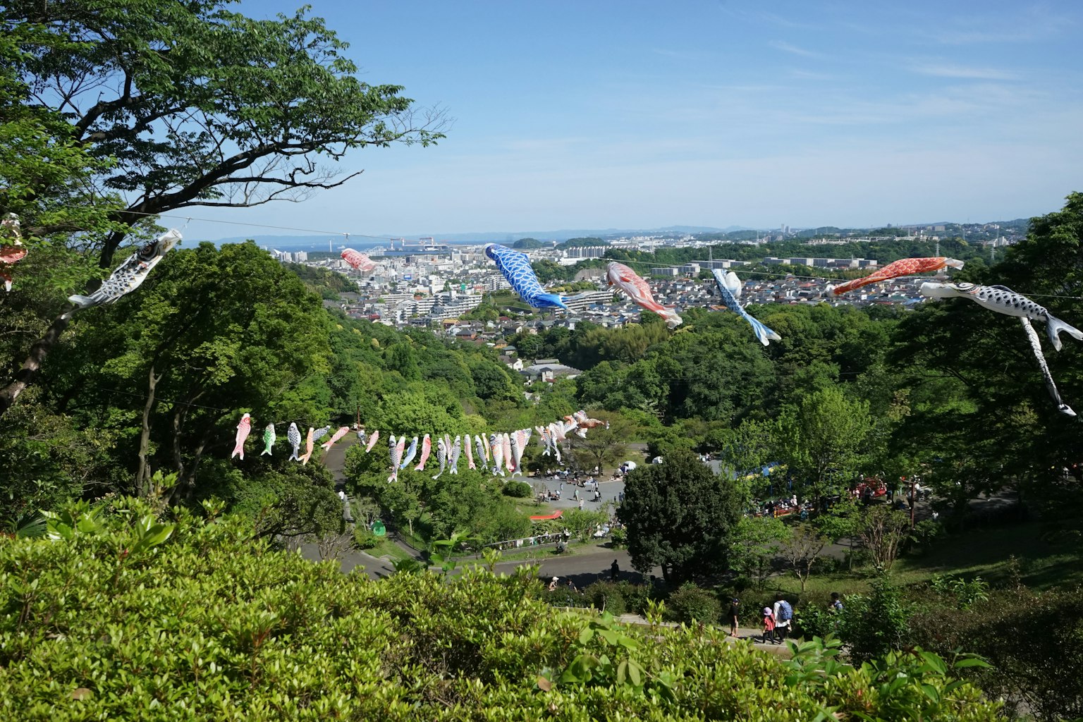 ทิวทัศน์ที่สวยงามของพืชพรรณเขียวชอุ่มใต้ท้องฟ้าสีฟ้าพร้อมธงคอยโนโบริสีสันสดใส