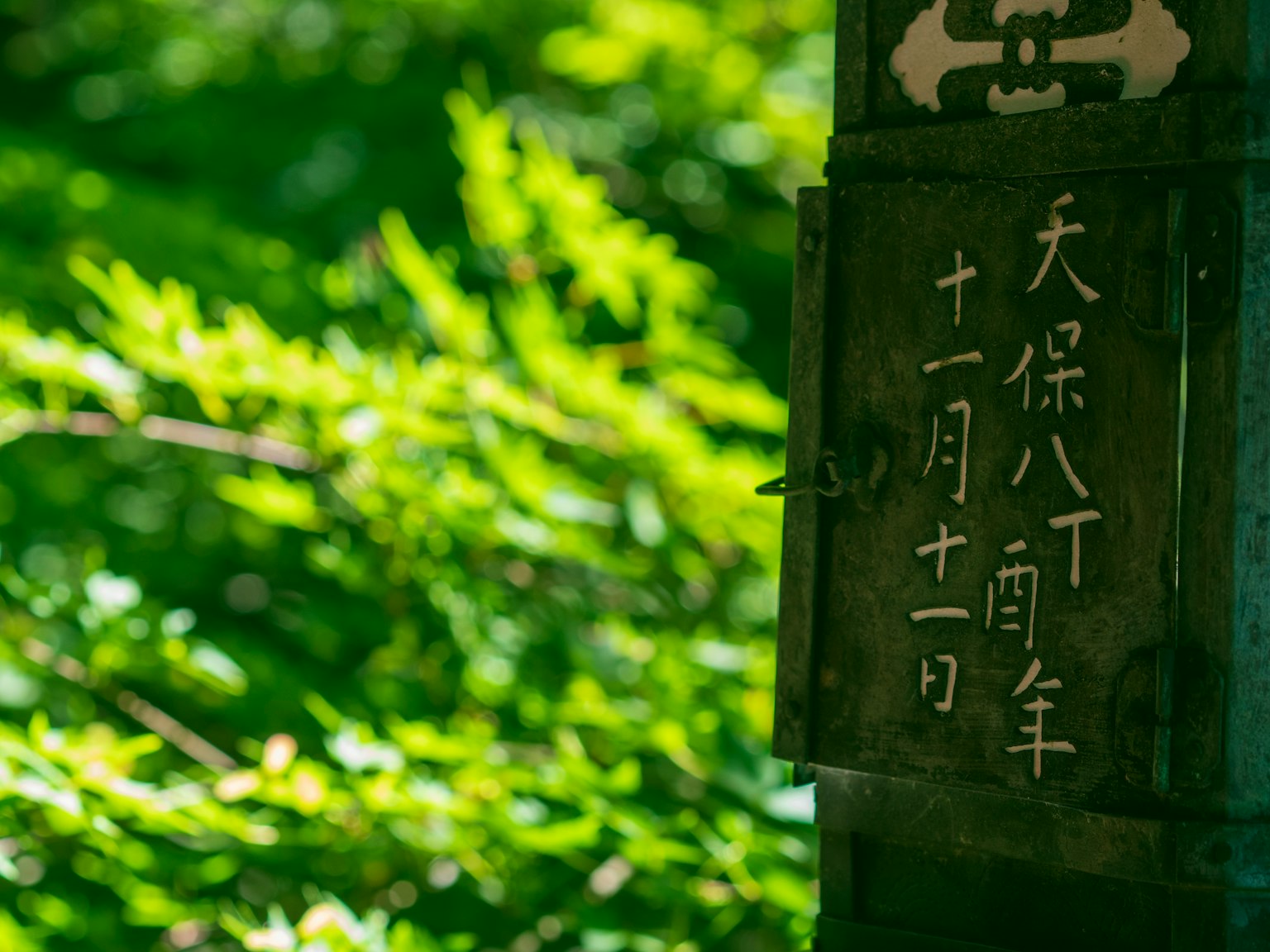 Un vieux panneau avec des caractères japonais devant un fond de feuilles vertes