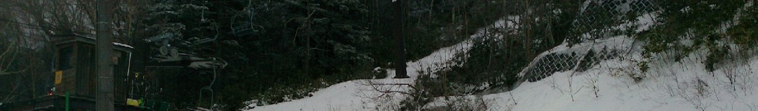 被雪覆蓋的小路，背景中有綠色樹木