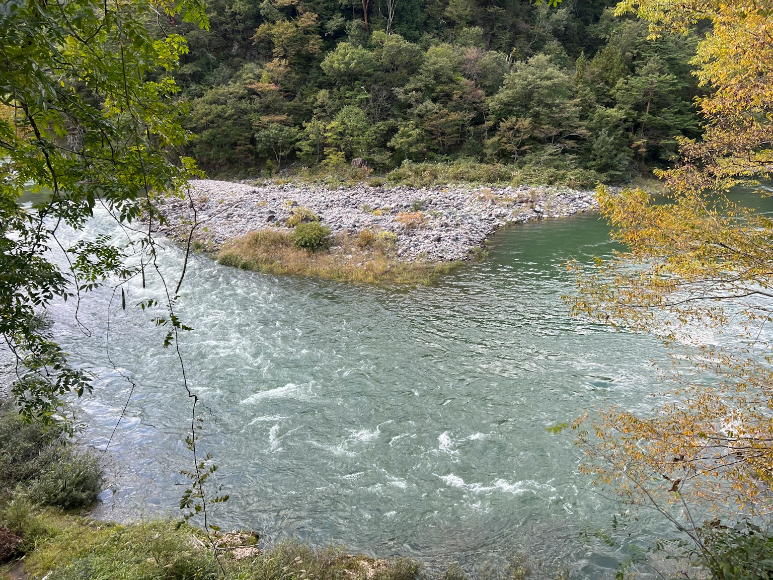 Calm river flowing through lush green trees