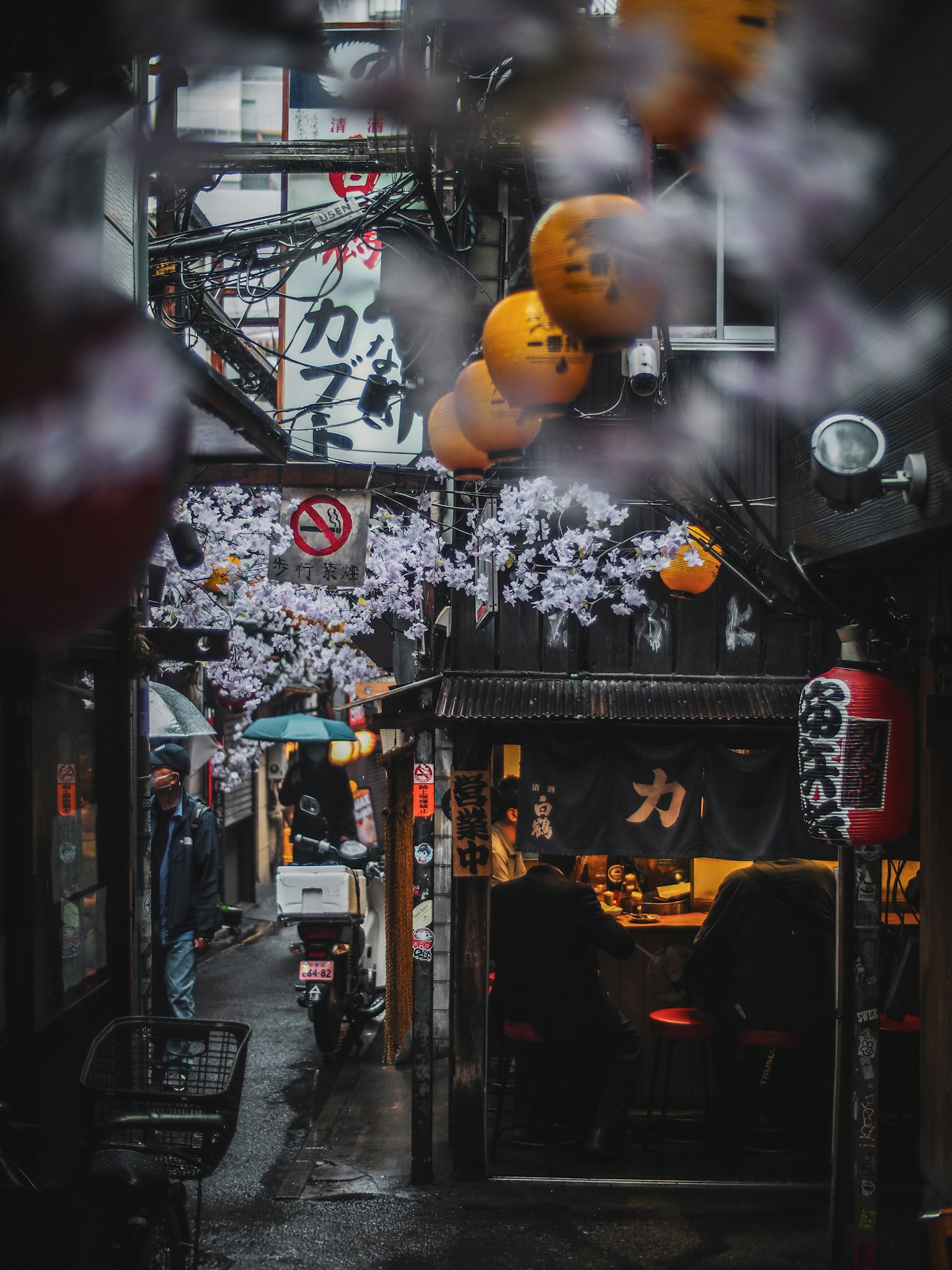 Schmale Gasse geschmückt mit Kirschblüten und Laternen