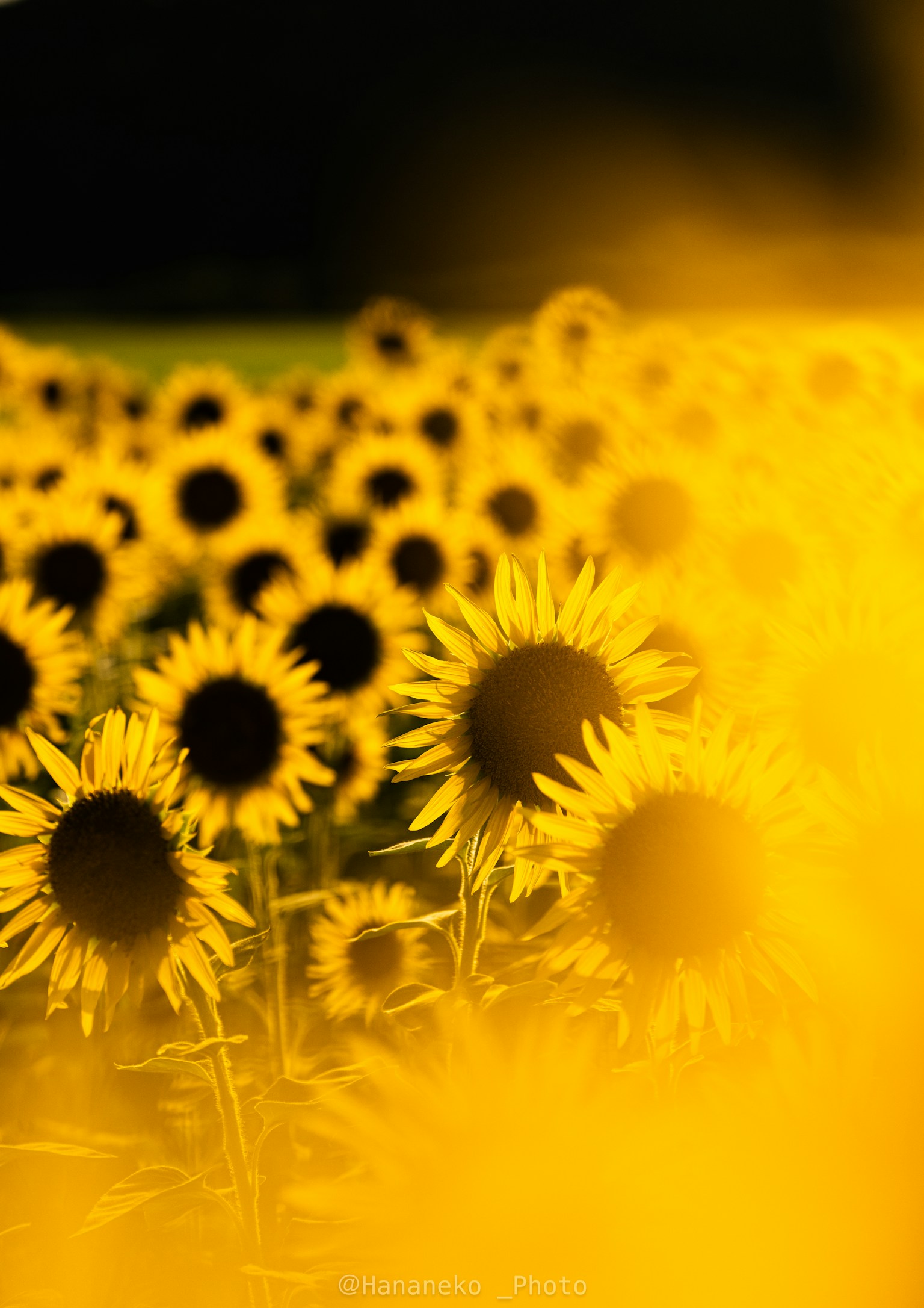 photo-K7TZVZPNWJoJQNeVqFXN-image