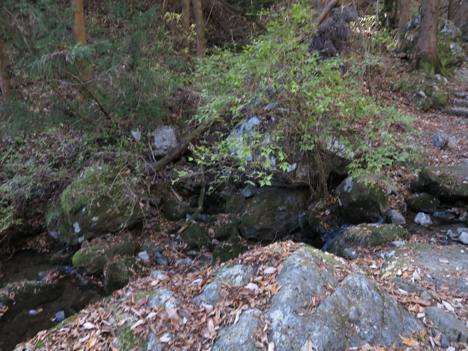 Vista panoramica di un ruscello circondato da rocce e alberi