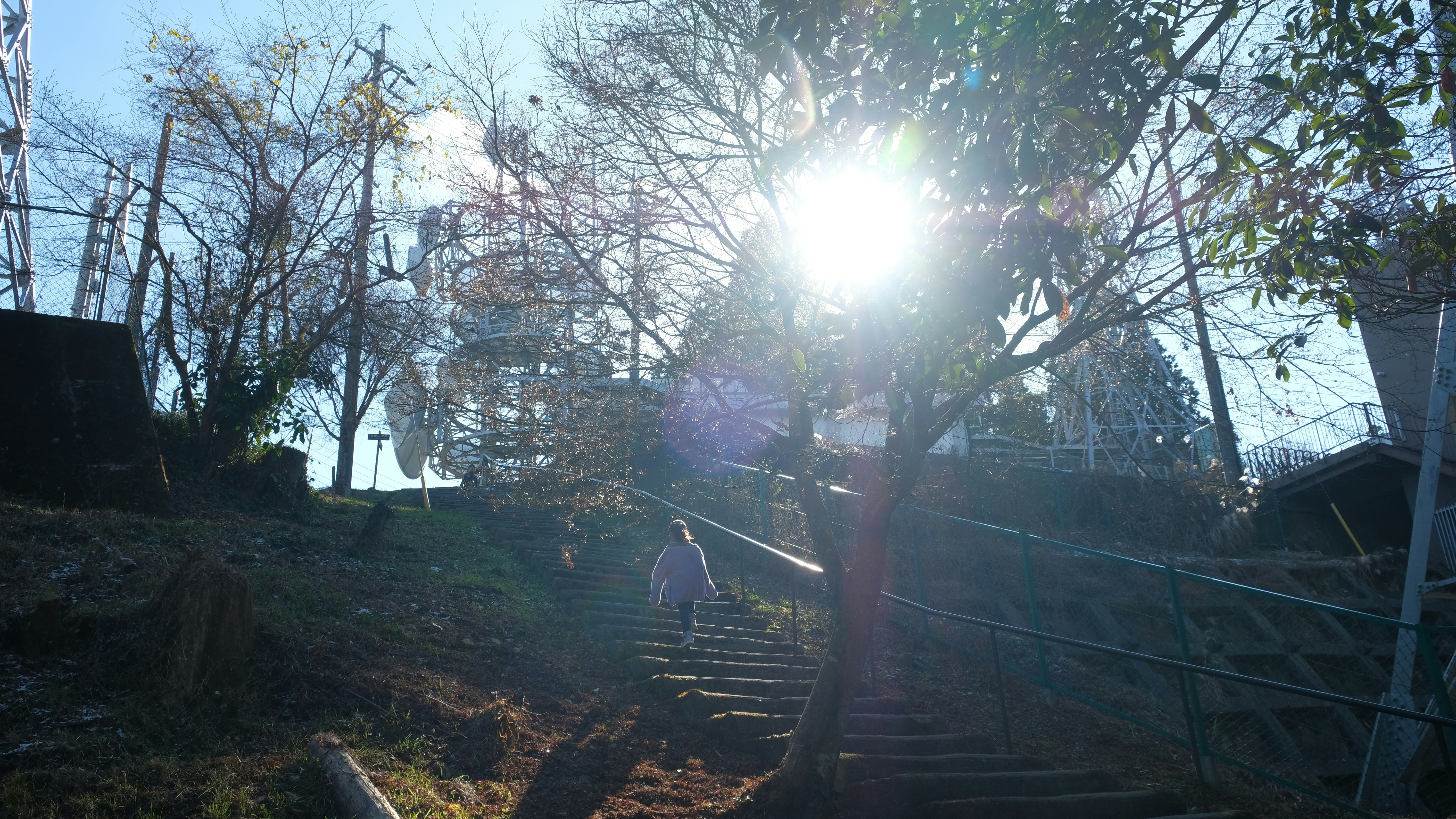 金峰山の山頂へ続く階段と木々の参道