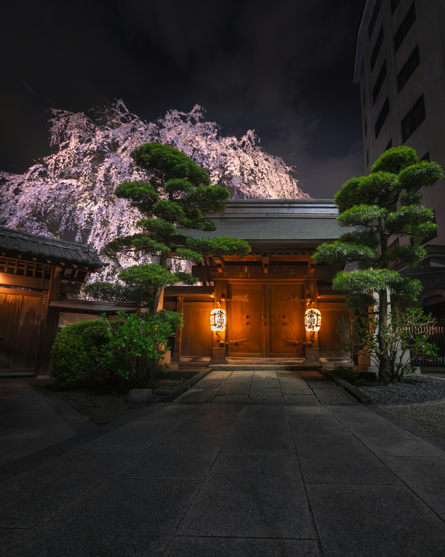 Porte traditionnelle japonaise illuminée la nuit avec une végétation luxuriante