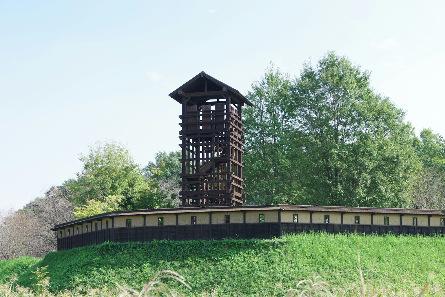 Torre de madera de pie en un terreno cubierto de hierba
