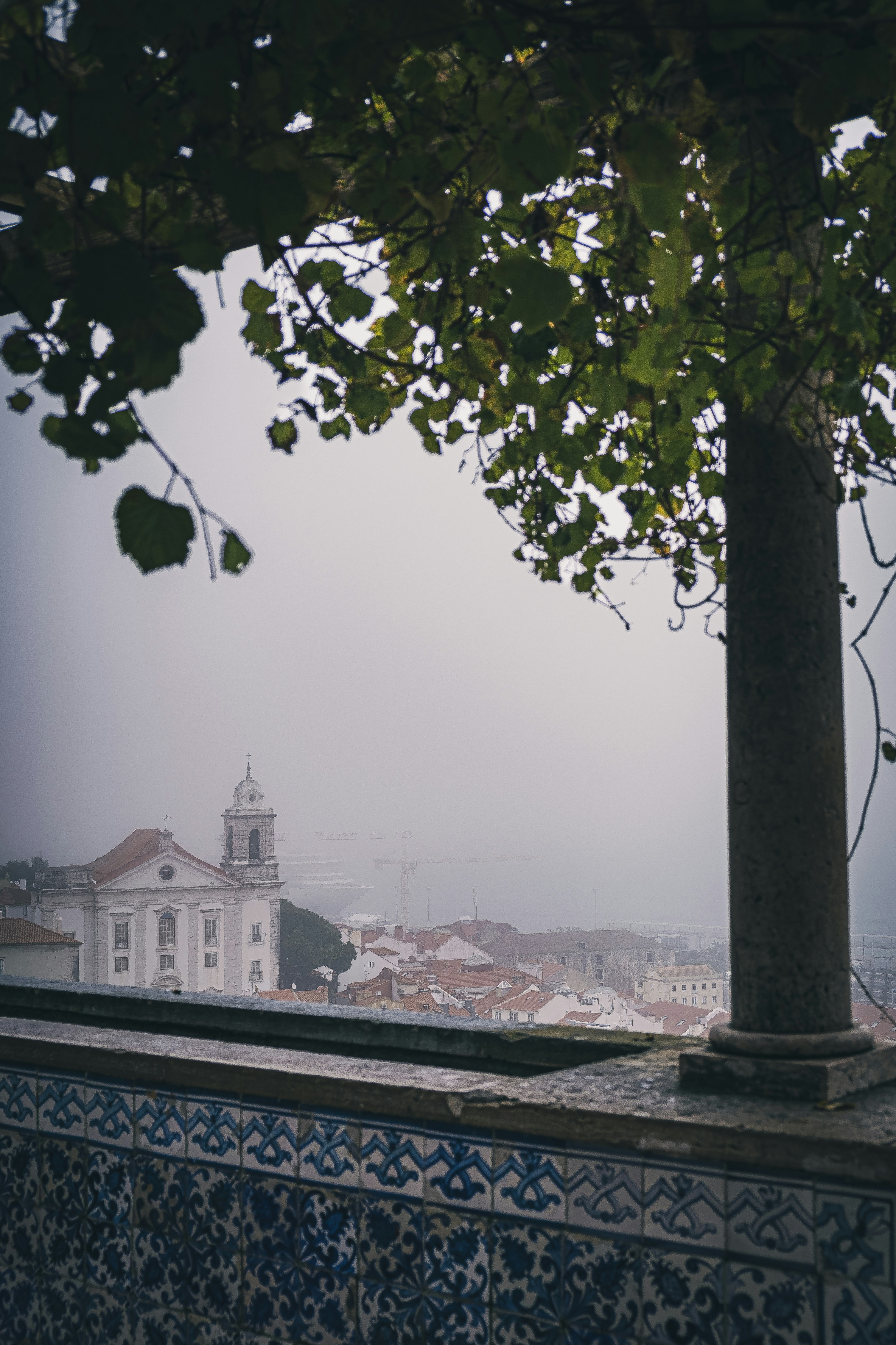 foggy city skyline with a white building seen through tree branches