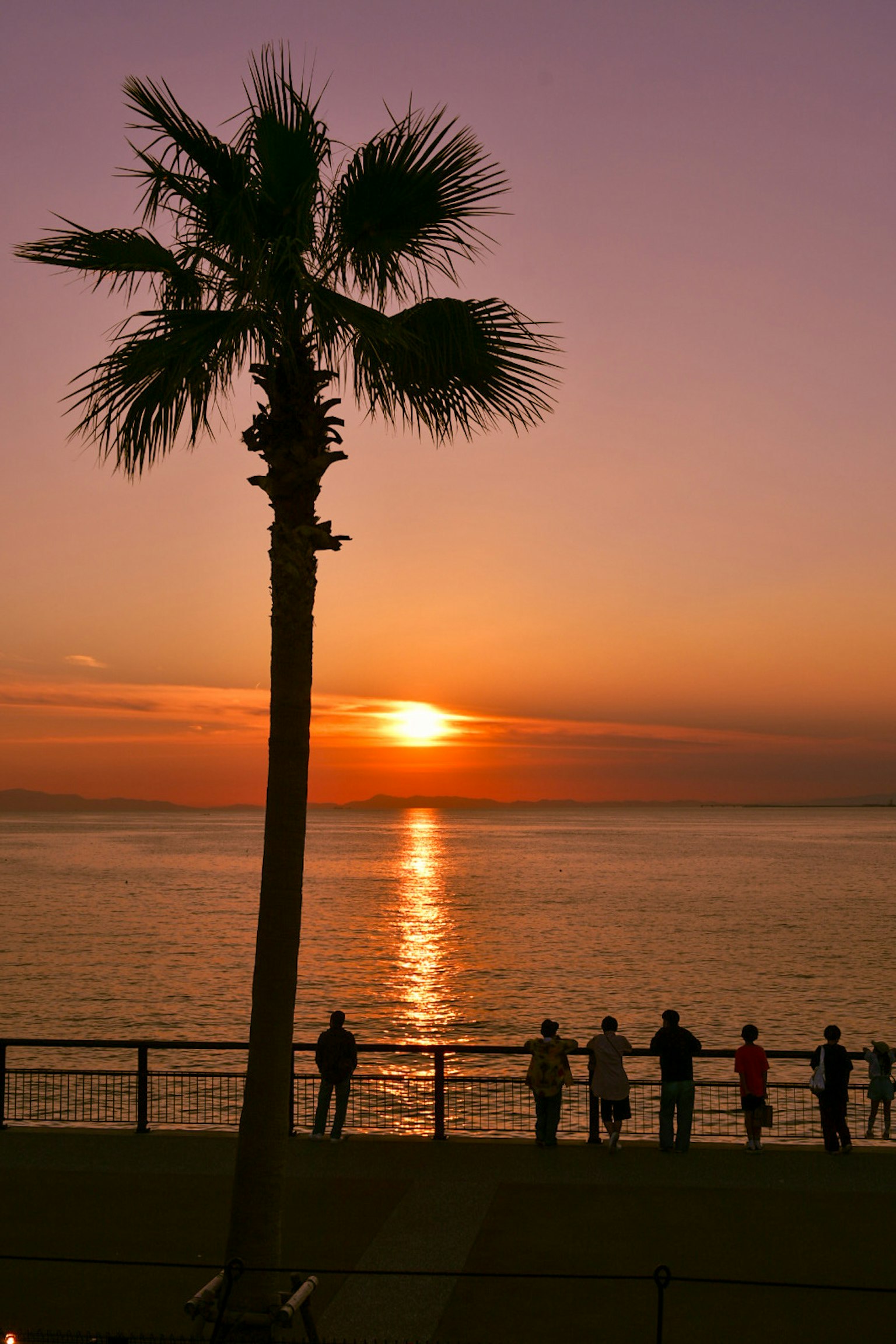 Schatten von Personen am Meer bei Sonnenuntergang mit einer Palme