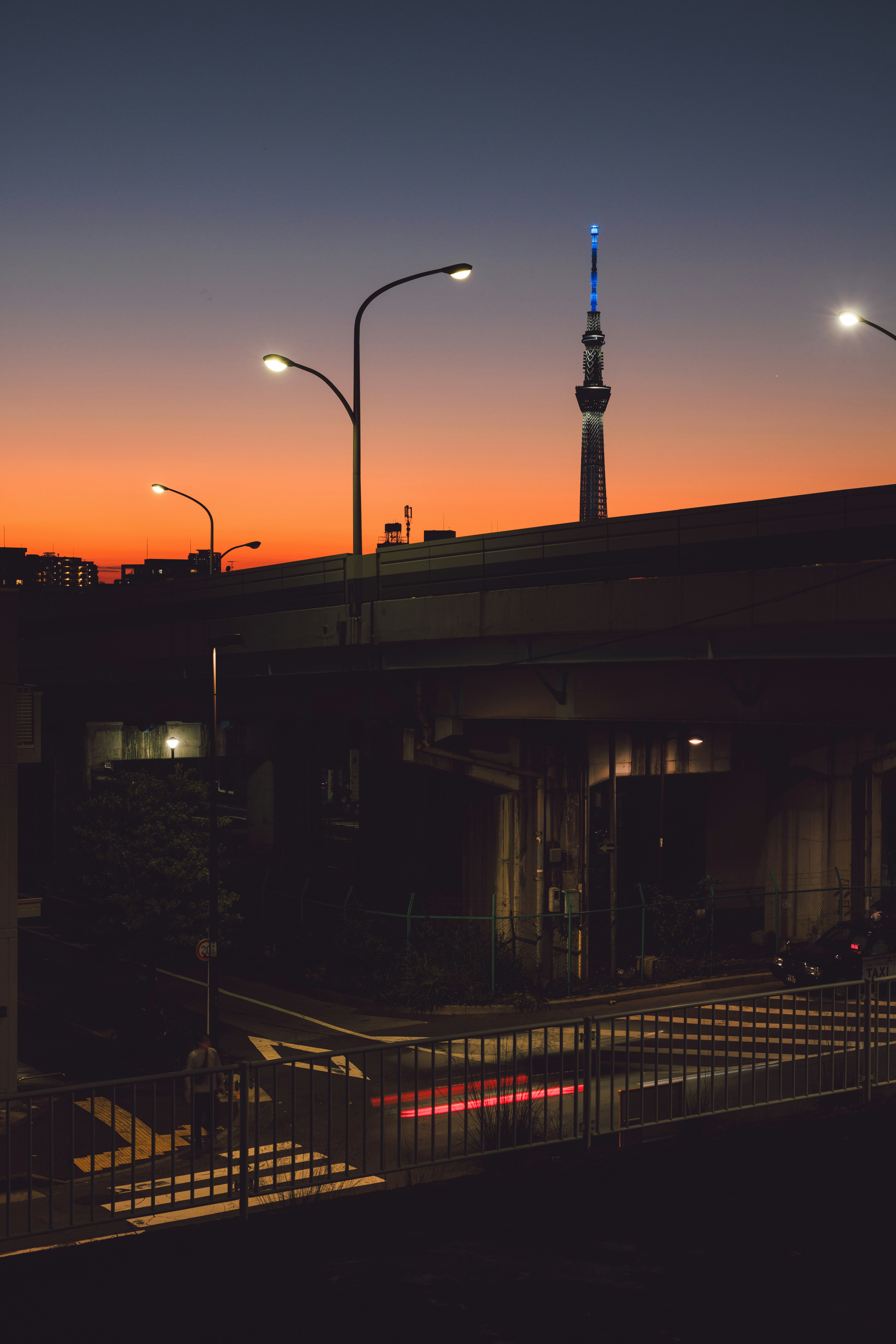 Tokyo skyline at dusk with Skytree and elevated tracks at night
