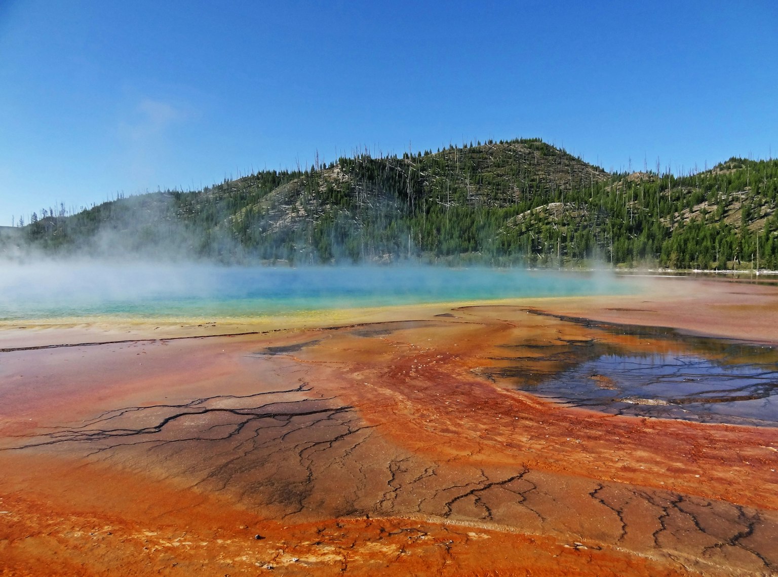 Cảnh quan sống động của Grand Prismatic Spring trong Vườn quốc gia Yellowstone