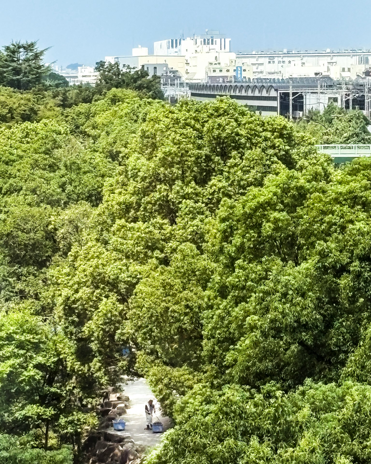 緑豊かな公園の小道を歩く人々と背景の建物
