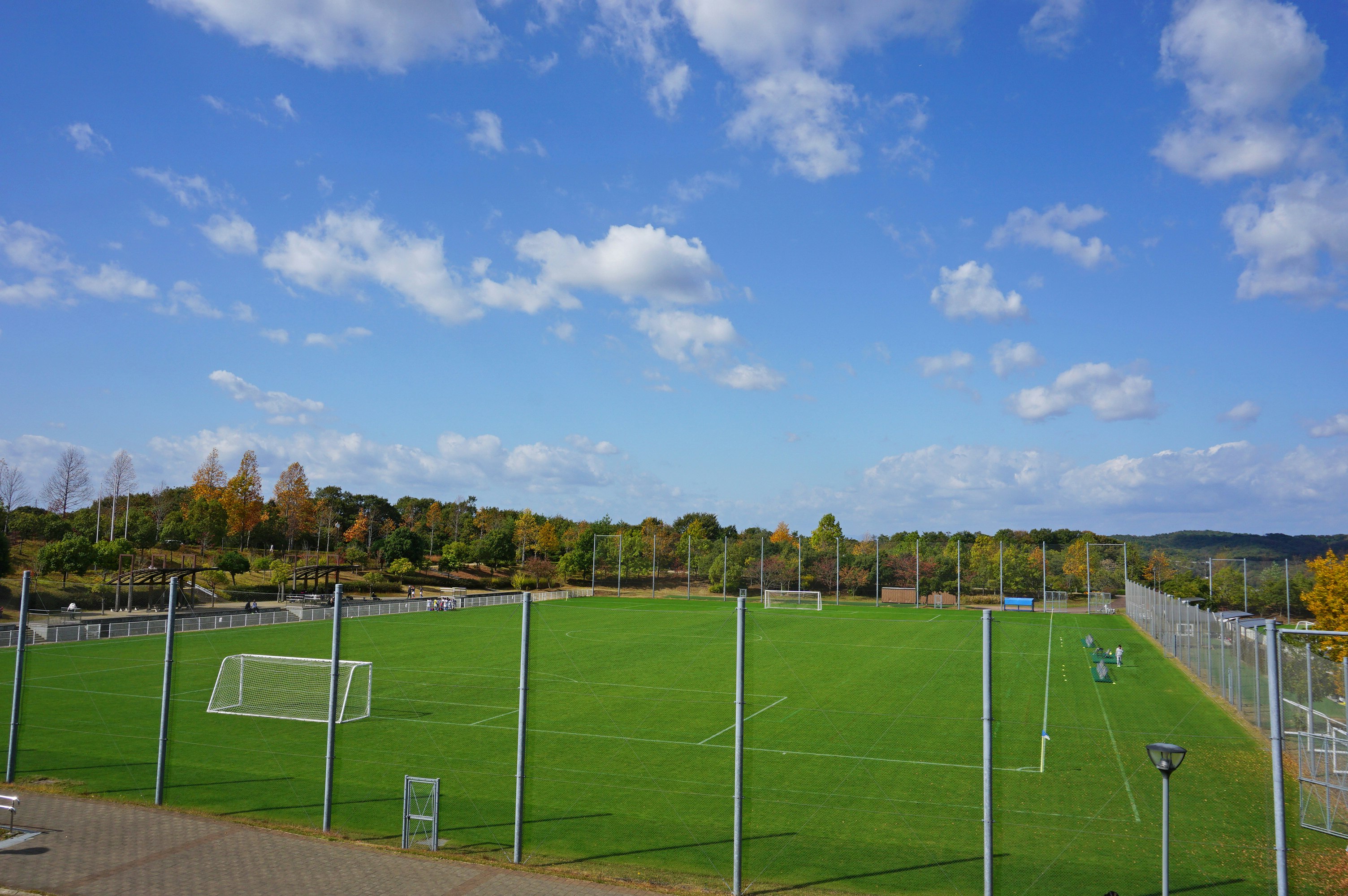 Außensportplatz mit grünem Rasen und Fußballtoren