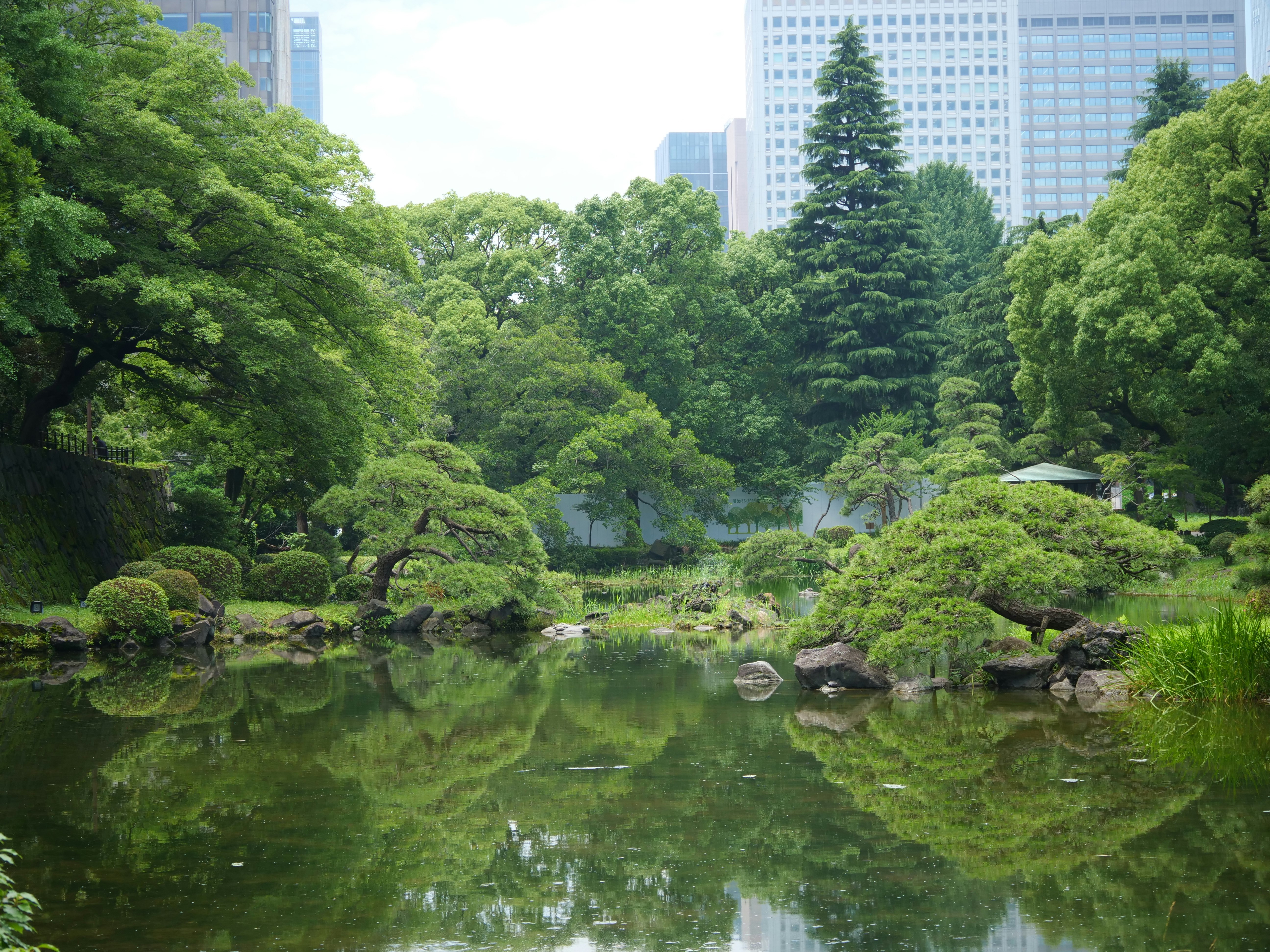 Paisaje del estanque del parque Hibiya con reflejos de vegetación