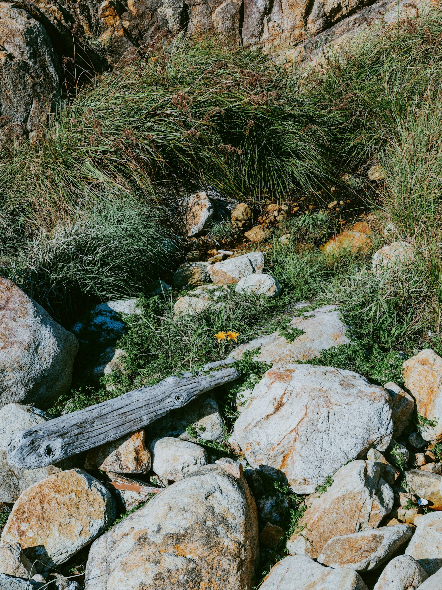 Paesaggio naturale circondato da rocce e erba